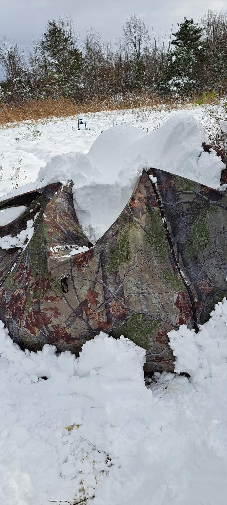 Barronett Blinds® Feather Five, Portable Hunting Blind, Huge Interior, Lightweight, 4-Person, Bloodtrail® Backwoods, 72