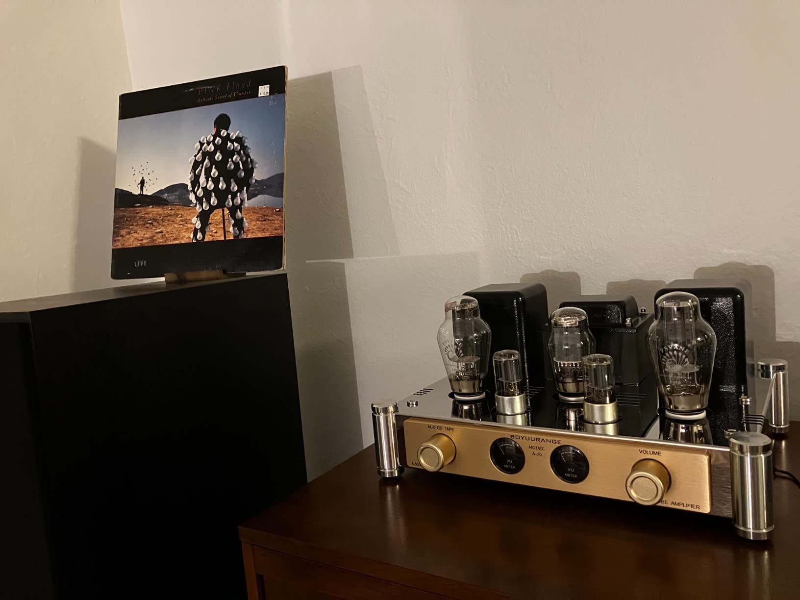 REISONG A50 MKIII 300B HiFi Intergrated Tube Amplifier Single-end Class A Valve Amp with Tube Cage customer photo 2