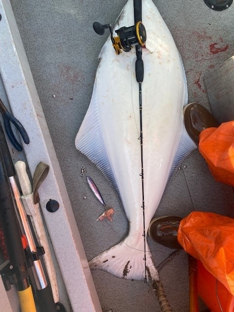 Penn Squall II Level Wind Conventional Fishing Reel customer photo 1