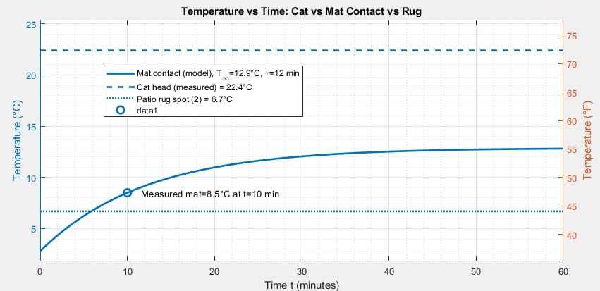 Self Warming Cat Bed Self Heating Cat Dog Mat 24 x 18 inch Extra Warm Thermal Pet Pad for Indoor Outdoor Pets with Removable Cover Non-Slip Bottom Washable Non Electric customer photo 2