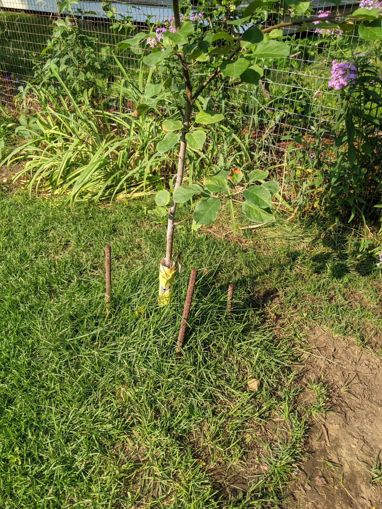 Worx Landroid L 20V 5.0Ah Robotic Lawn Mower 1/2 Acre / 21,780 Sq Ft. Power Share - WR155 (Battery & Charger Included) customer photo 2