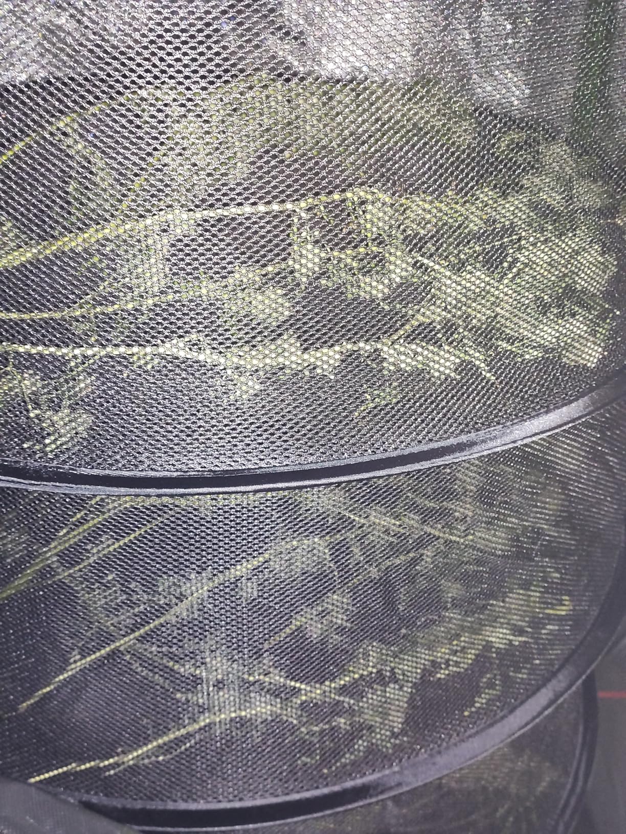 VIVOSUN 8-Layer Mesh Drying Rack Hanging Design with Green Zippers for Dehydrating, Indoor and Outdoor Pruning Shears Included customer photo 1