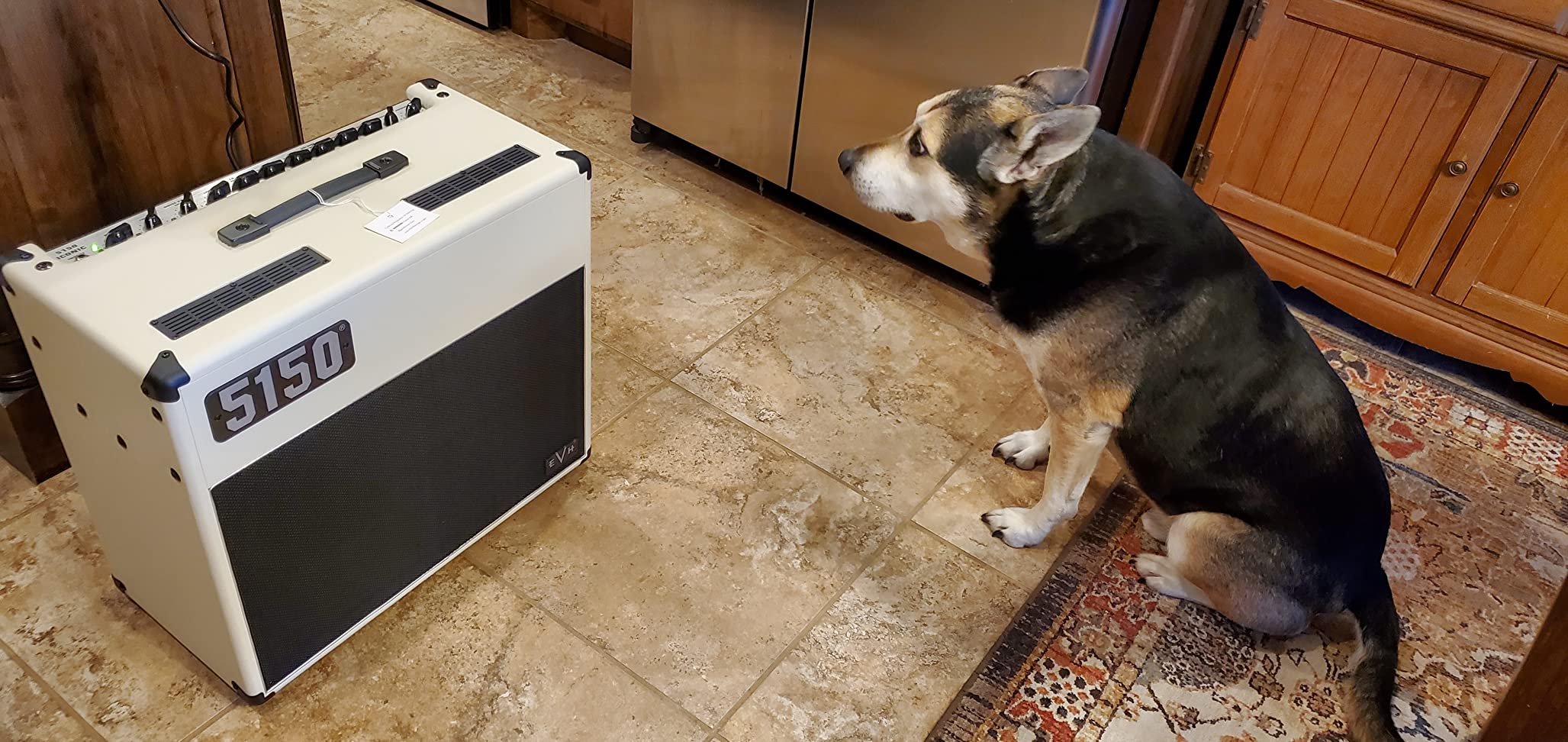 EVH 5150 Iconic Series 40-watt 1 x 12-inch Tube Combo Amp - Ivory customer photo 2