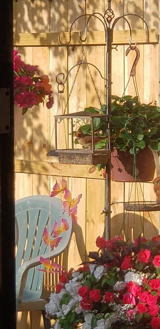 yosager Premium Bird Feeding Station Kit, 77