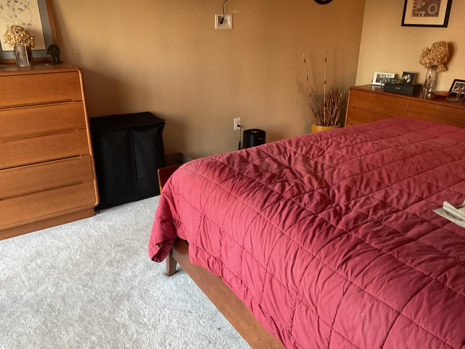 PuroAir 240 HEPA Air Purifier for Home Large Rooms - Covers Up To 1,000 Sq Ft - Filters Up To 99.9% of Pollutants, Smoke, Pollen, Dust - Quiet HEPA Air Filter - Air Purifiers for Bedroom customer photo 1