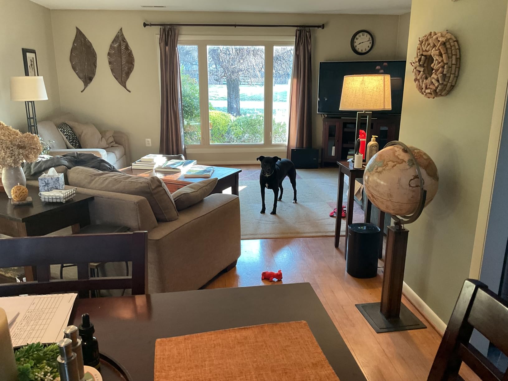 PuroAir 240 HEPA Air Purifier for Home Large Rooms - Covers Up To 1,000 Sq Ft - Filters Up To 99.9% of Pollutants, Smoke, Pollen, Dust - Quiet HEPA Air Filter - Air Purifiers for Bedroom customer photo 2