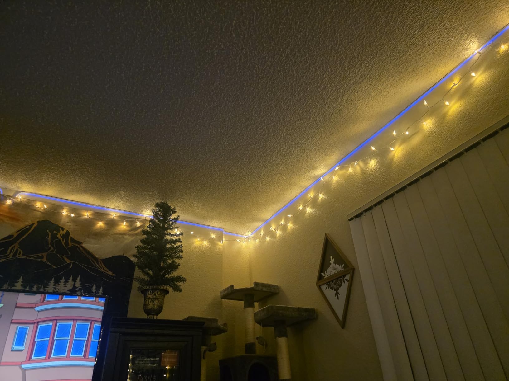 Kasa Outdoor Smart Plug, Smart Home Wi-Fi Outlet Timer, Max Load 15A/1875W, IP64 Weather Resistance, Compatible with Alexa, Google Home & SmartThings, No Hub Required, ETL Certified(KP401) customer photo 1