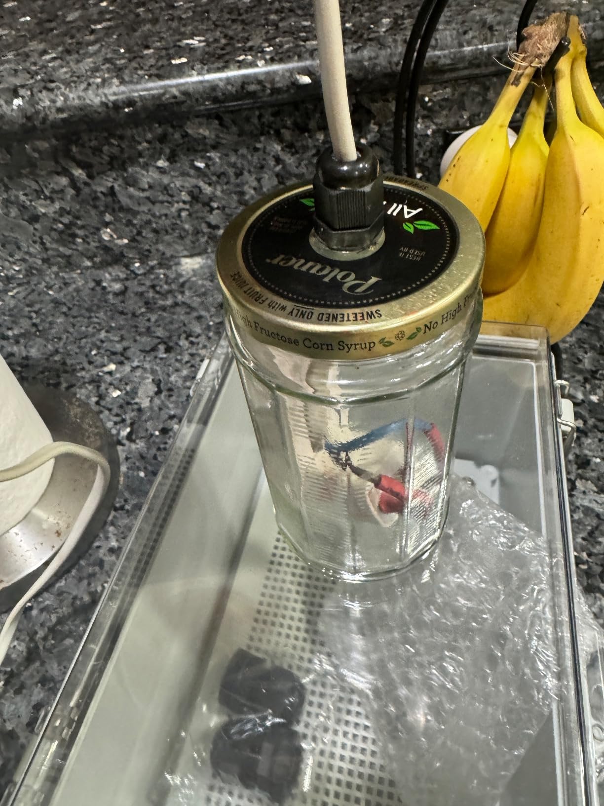 Aqara Smart Hub E1 for Home Automation, 2.4 GHz Wi-Fi Required, Features Aqara Zigbee (Not Third-Party), Powered by USB-A, Small Size, Supports HomeKit, Alexa, Google Assistant, IFTTT customer photo 2