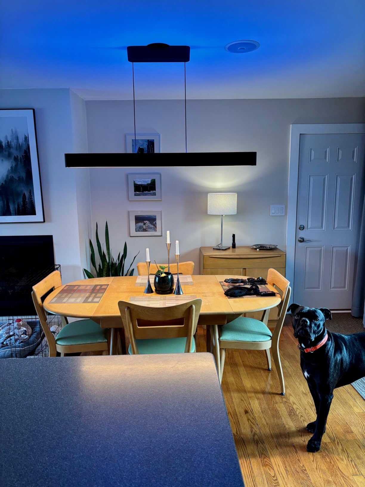 Philips Hue Flourish Ceiling Pendant Light, White - White and Color Ambiance Color-Changing Smart LED Light - 1 Pack - Control with Hue App - Works with Alexa, Google Assistant, and Apple Homekit customer photo 1