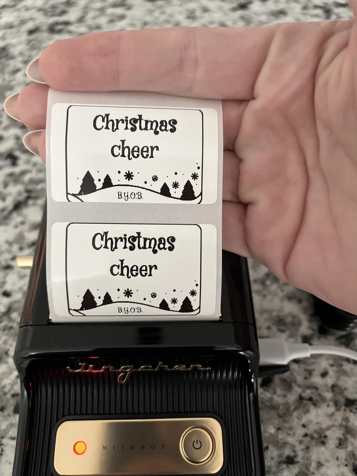 Niimbot B21 Label Maker, Thermal Label Printer, Portable Inkless Label Makers for Home/Office/Business customer photo 2