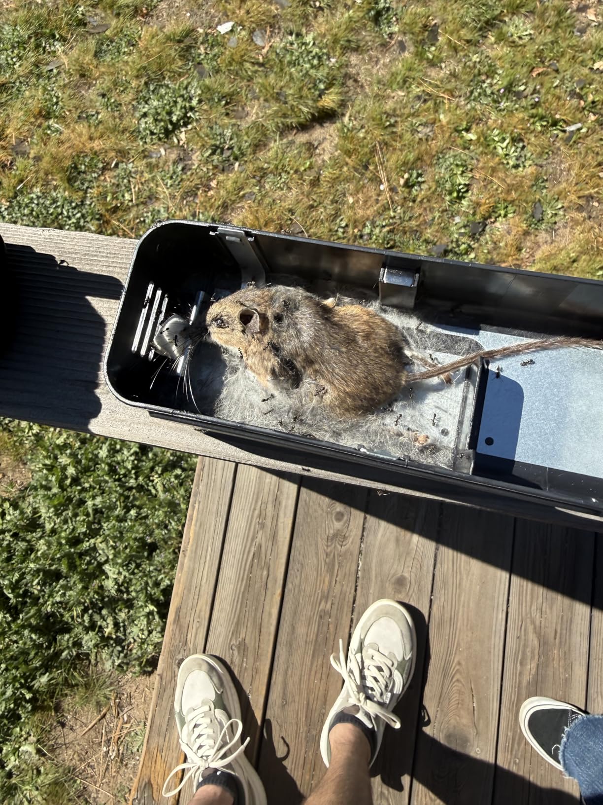 OWLTRA OW-5 Ultrasonic Rodent Repellers 4 Pack, Effectively Repel Rodents While 100% Silent & Safe to Humans and Non-Rodent Pets, White customer photo 1