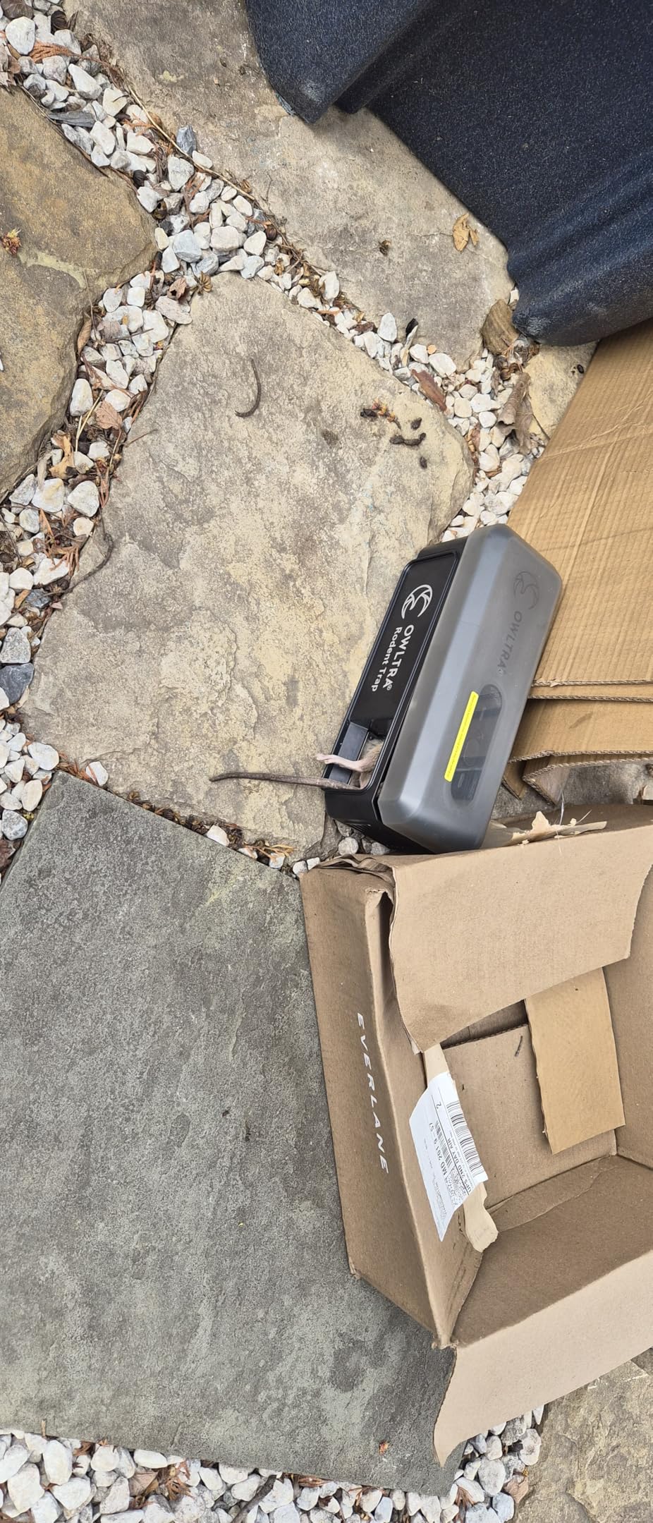 OWLTRA OW-5 Ultrasonic Rodent Repellers 4 Pack, Effectively Repel Rodents While 100% Silent & Safe to Humans and Non-Rodent Pets, White customer photo 2