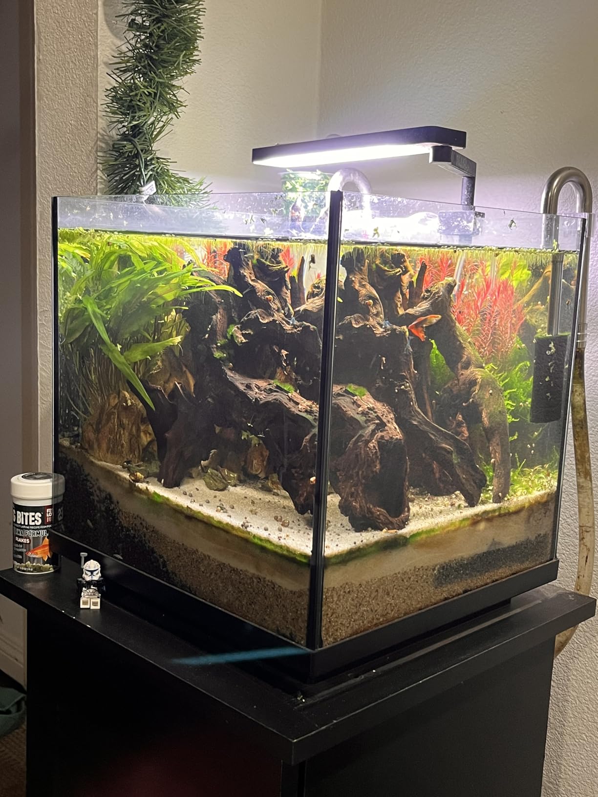 AMOSIJOY 225GPH Ultra-Quiet Canister Filter, 2-Stage External Aquarium Filter with Free Media for Large Fish Tanks customer photo 2