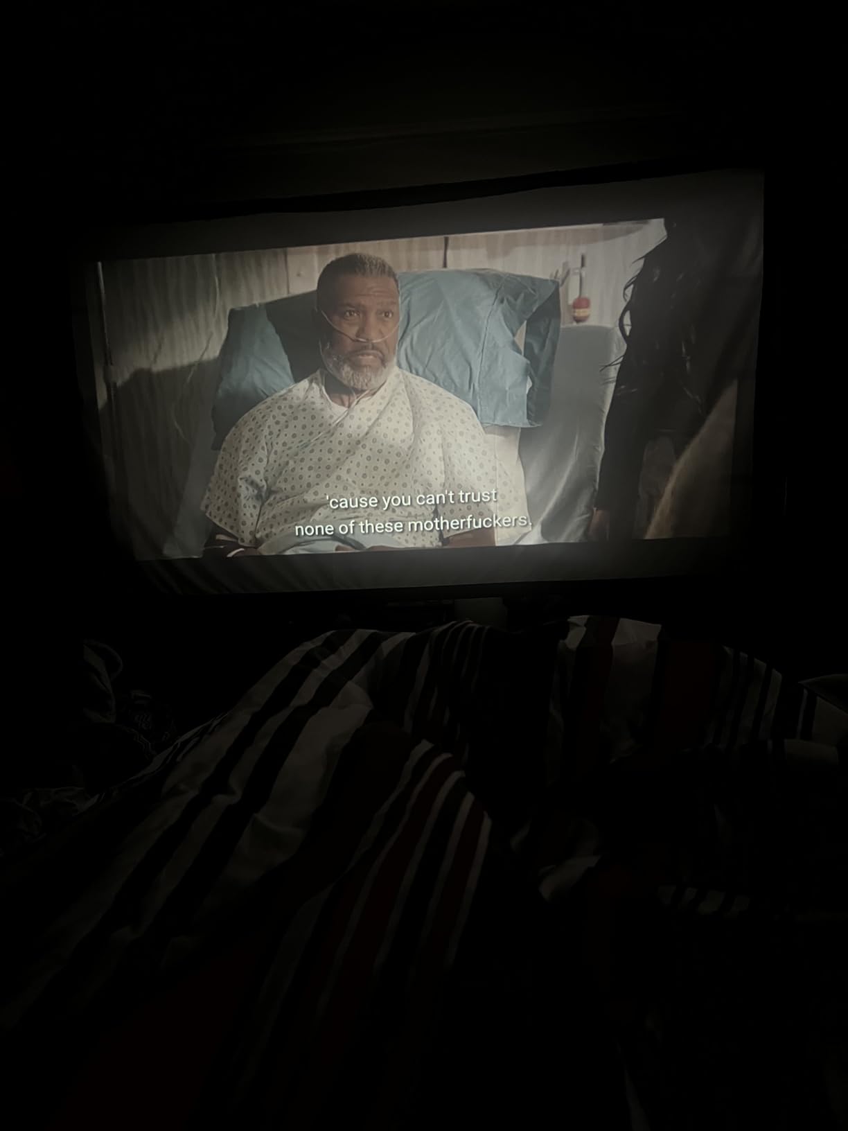 TOWOND Projector Screen and Stand, 150 inch Indoor Outdoor Projection Screen, Portable 16:9 4K HD Rear Front Movie Screen with Carry Bag Wrinkle-Free Design for Home Theater Backyard Cinema customer photo 1