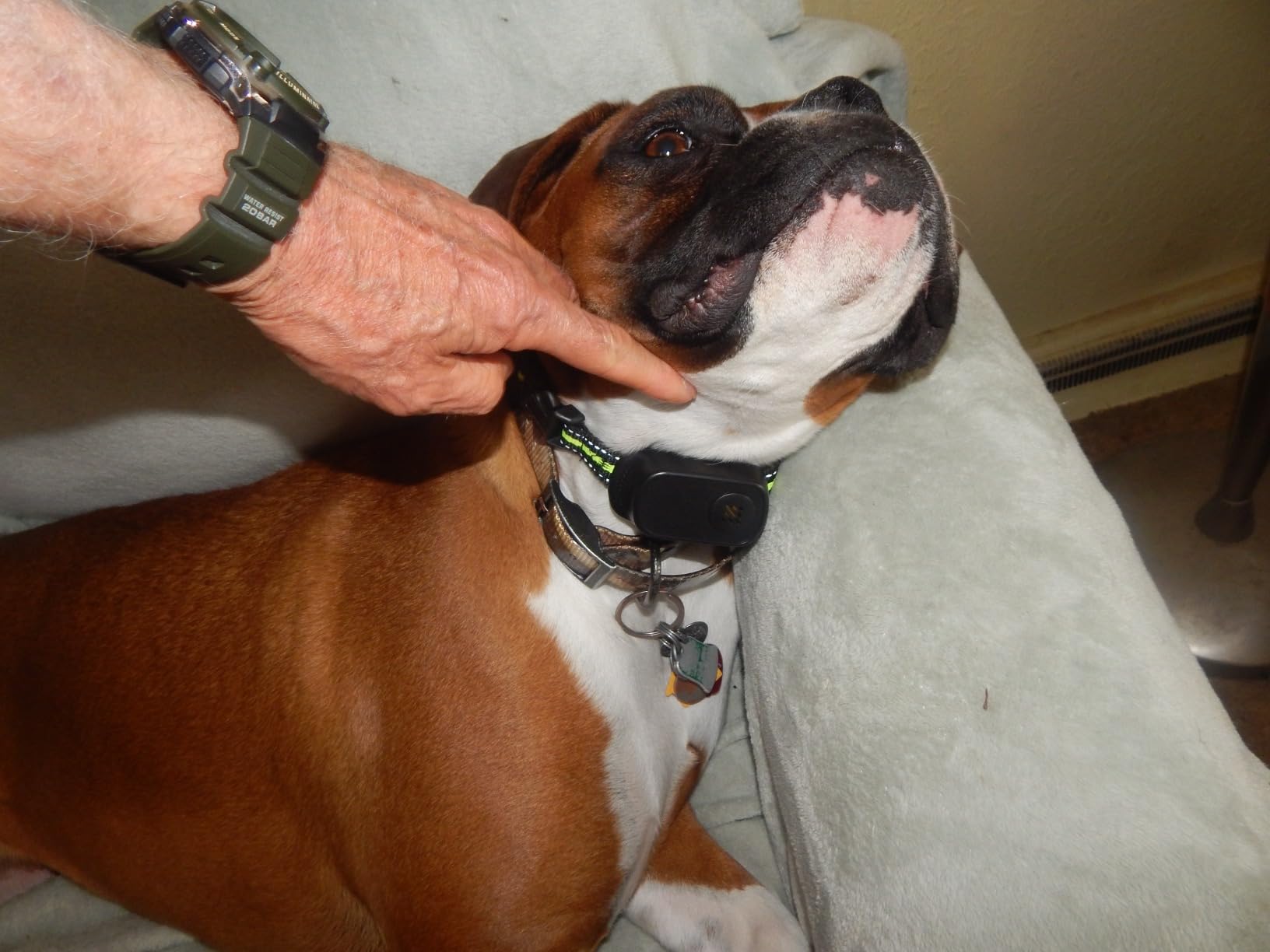 Rechargeable Dog Bark Collar with Beep Vibration and Shock, Anti Barking Collar for Small Medium Large Dogs, Humane Dog Training Device with 5 Adjustable Sensitivity Levels customer photo 2