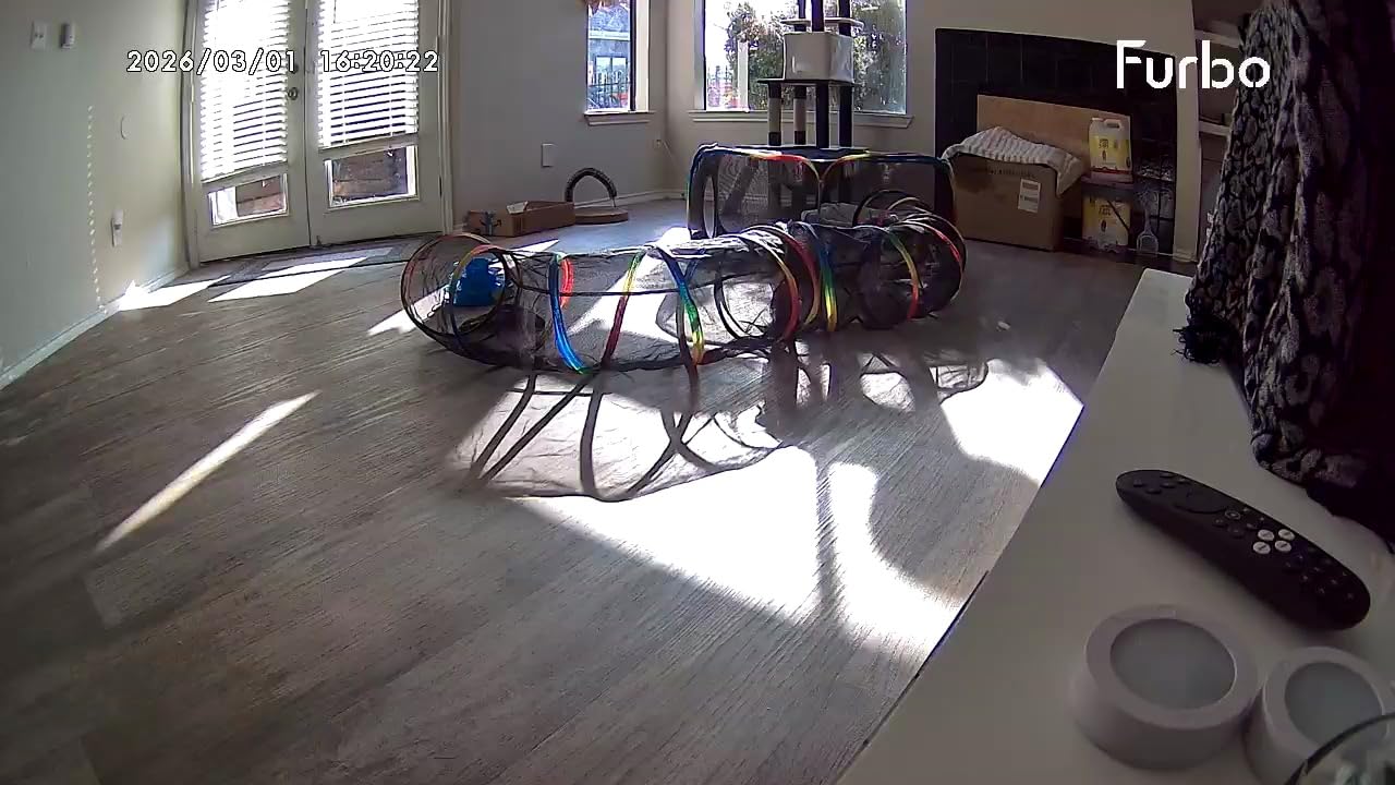 Furbo 360° Dog Camera: Pet Security Cam w/Barking Alerts, Rotating View, Treat Toss w/Phone App, Smart Home Puppy Monitoring, 2-Way Speaker, No Subscription Needed customer photo 2