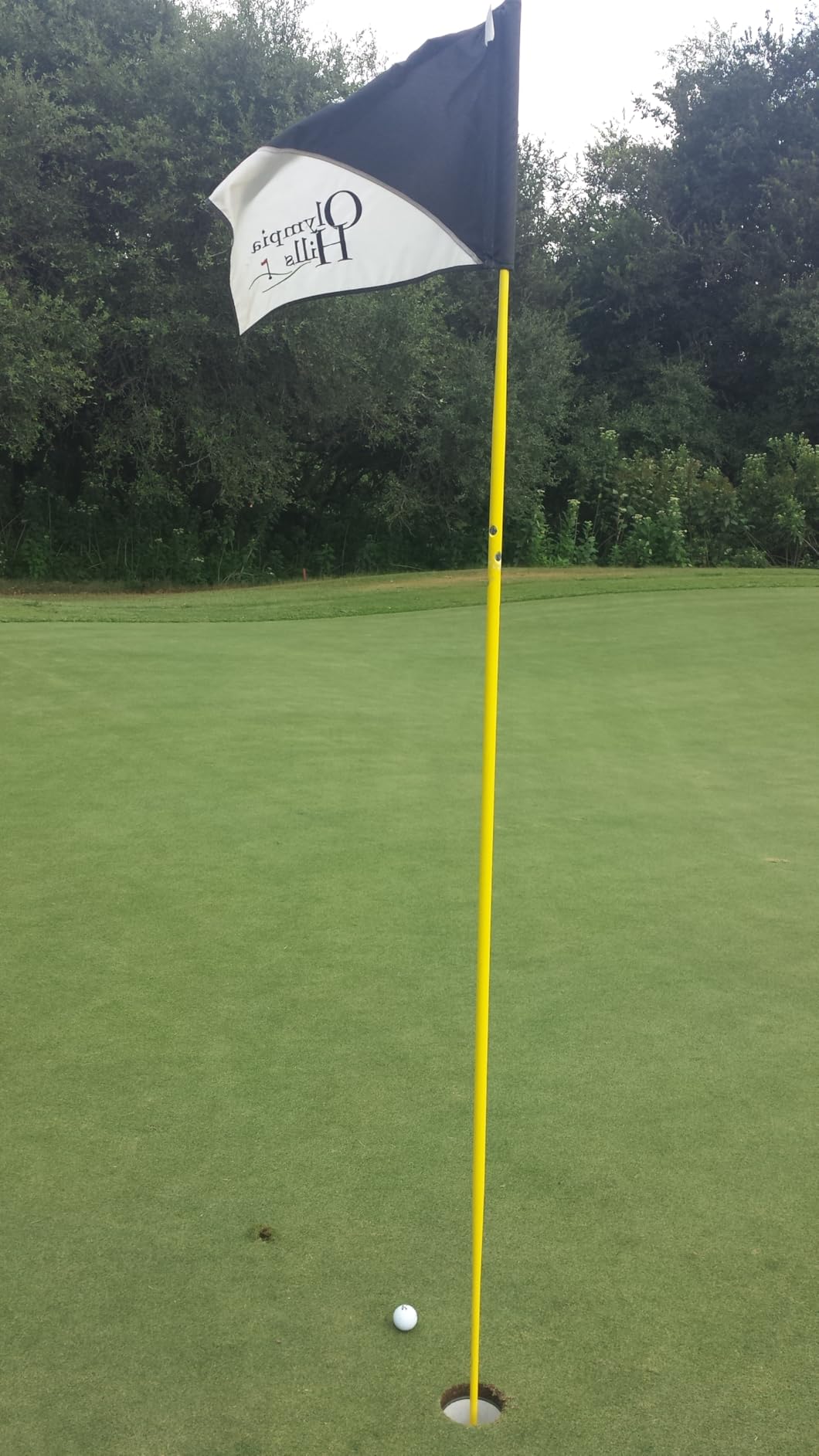 REVASRI Golf Rangefinder with Slope and Pin Lock Vibration, External Slope Switch for Golf Tournament Legal, Rangefinders with Rechargeable Battery 600/1000YDS Laser Range Finder customer photo 1