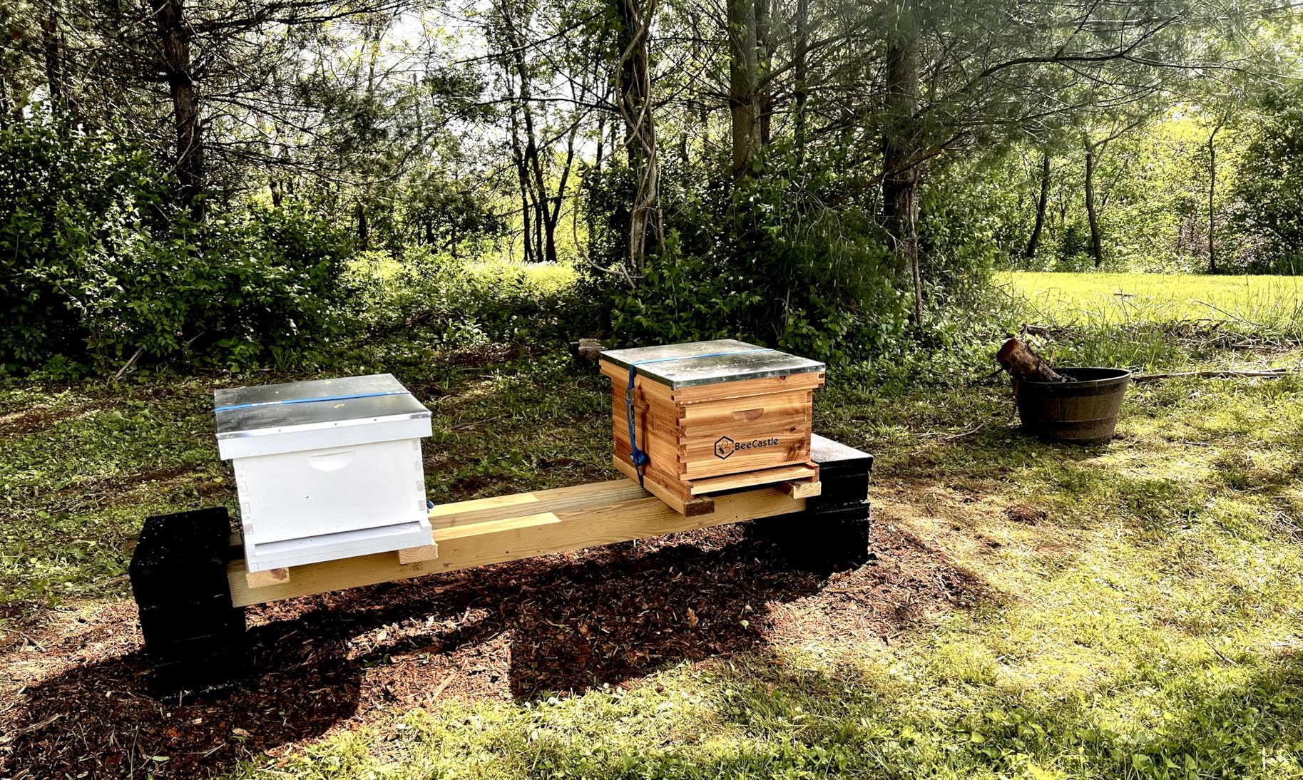 BeeCastle 10-Frame Bee Hives and Supplies Starter Kit,Beehive Kit Dipped in 100% Beeswax,Bee Keeping Supplies-All Beginners Kit Includes Beekeeping Supplies Tool Set and Bee Suit. customer photo 1