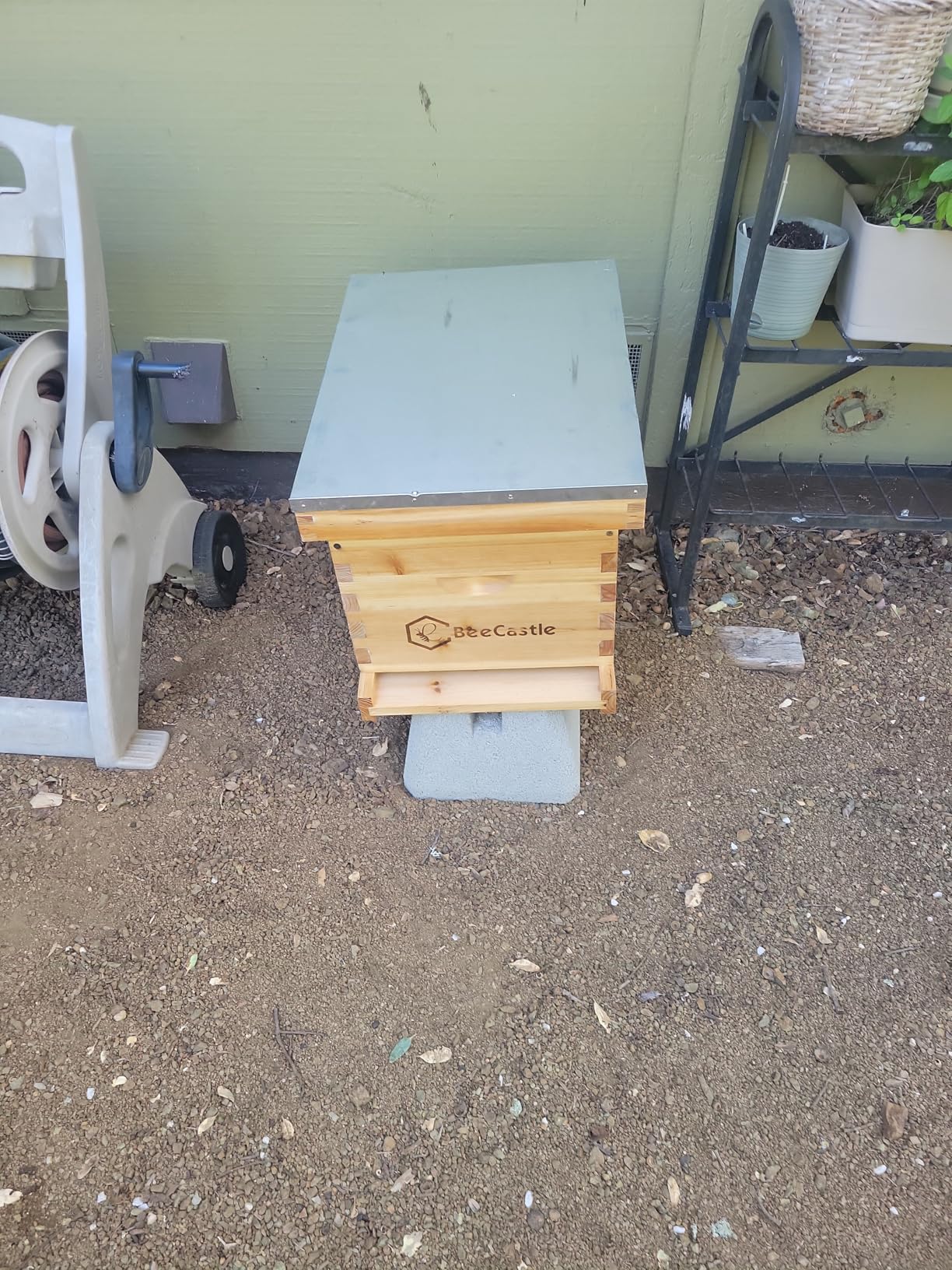 BeeCastle 8-Frame Bee Hives and Supplies Starter Kit,Beehive Kit Dipped in 100% Beeswax,Bee Keeping Supplies-All Beginners Kit Includes Beekeeping Supplies Tool Set and Bee Suit. customer photo 1