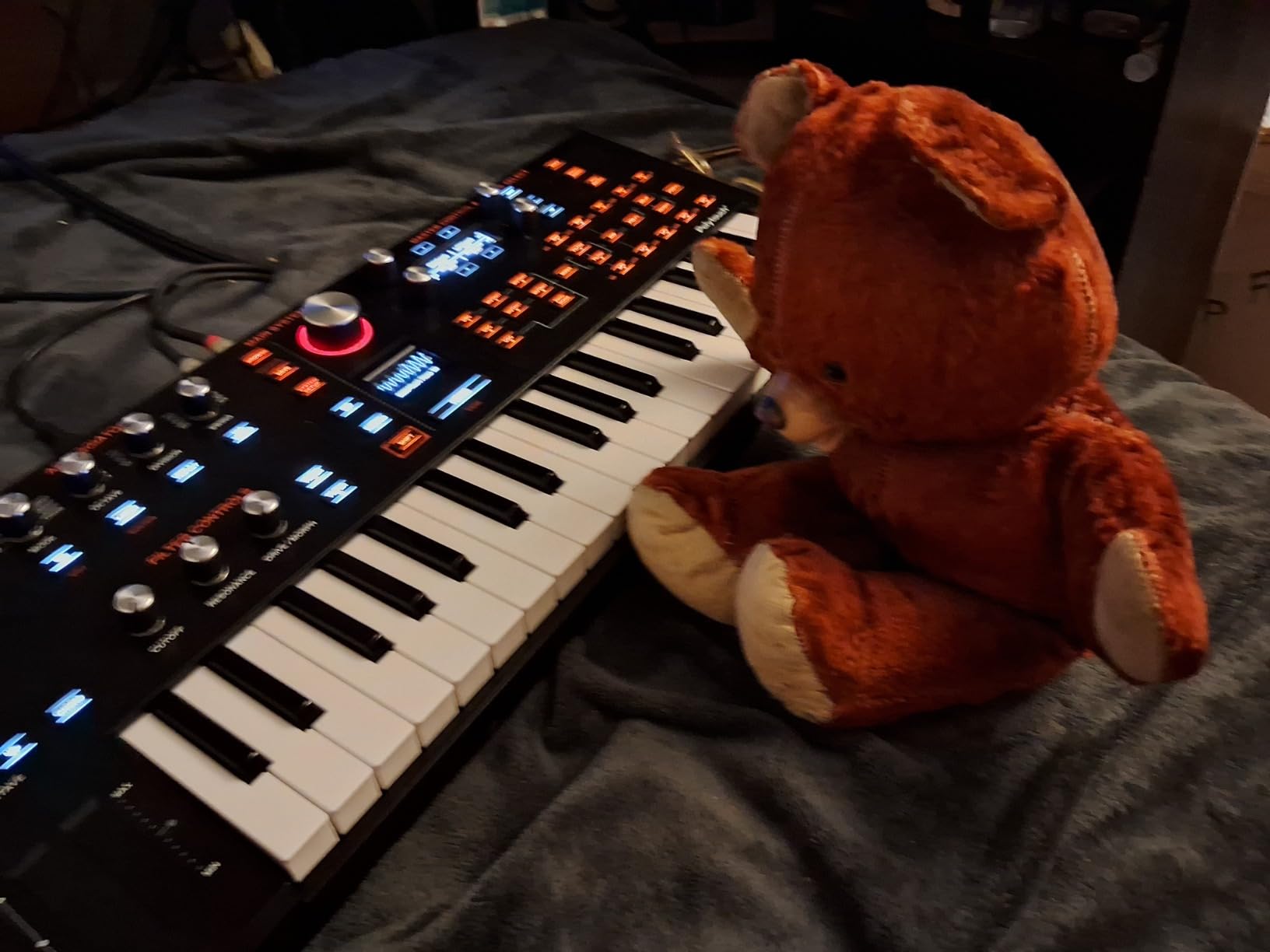 ASM Hydrasynth Explorer 37-Key Digital Polyphonic Synthesizer customer photo 1