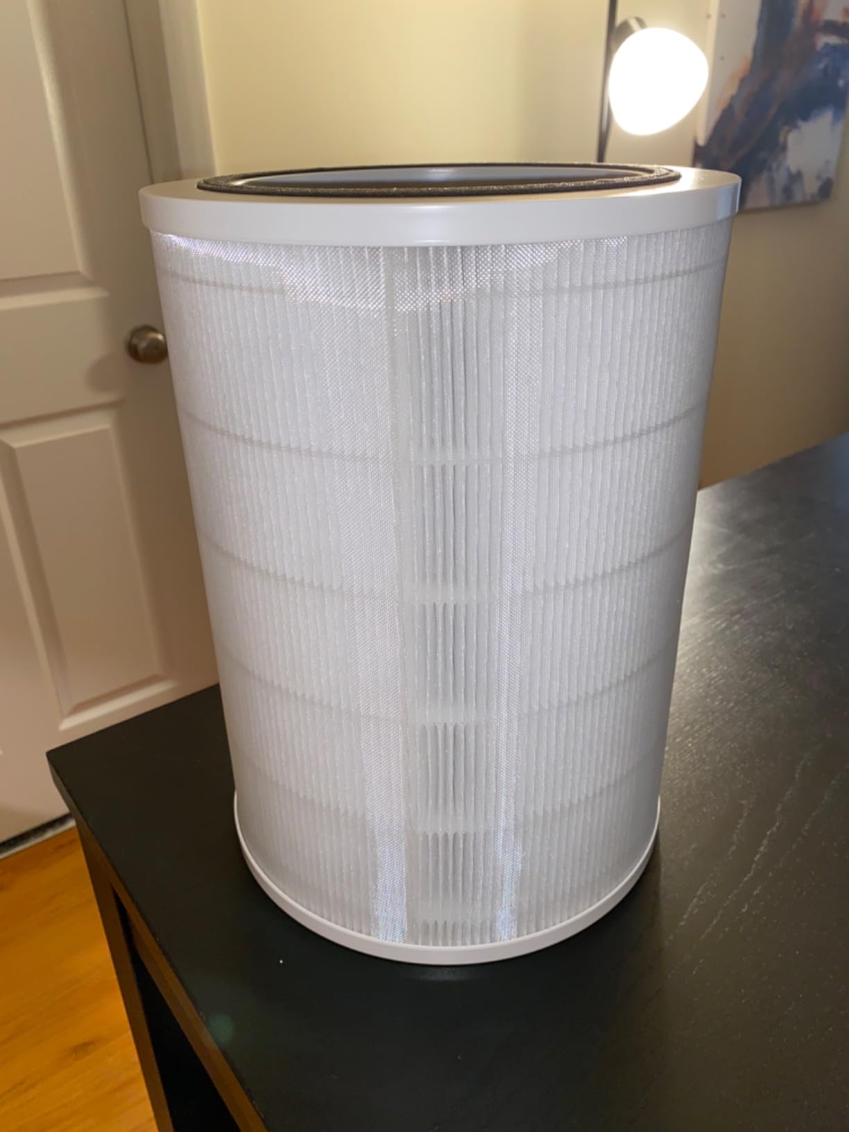 Clorox HEPA Air Purifiers for Home, True HEPA Filter, Medium Rooms Up to 1,000 Sq Ft, Removes 99.9% of Mold, Viruses, Wildfire Smoke, Allergens, Pet Allergies, Dust, AUTO Mode, Whisper Quiet customer photo 2