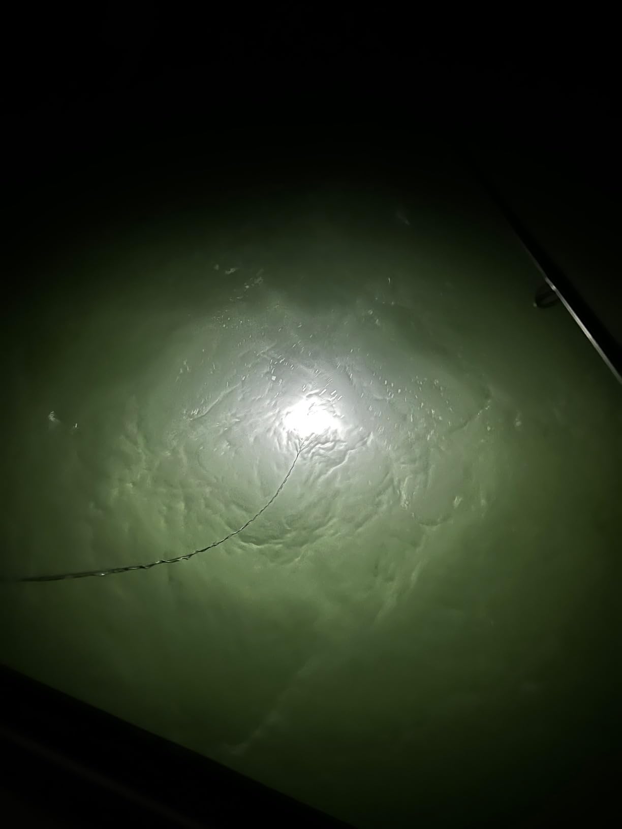 12V 14W 180 LEDs 1300 Lumens LED Submersible Fishing Light Underwater Fish Finder Lamp with 5m Cord customer photo 1