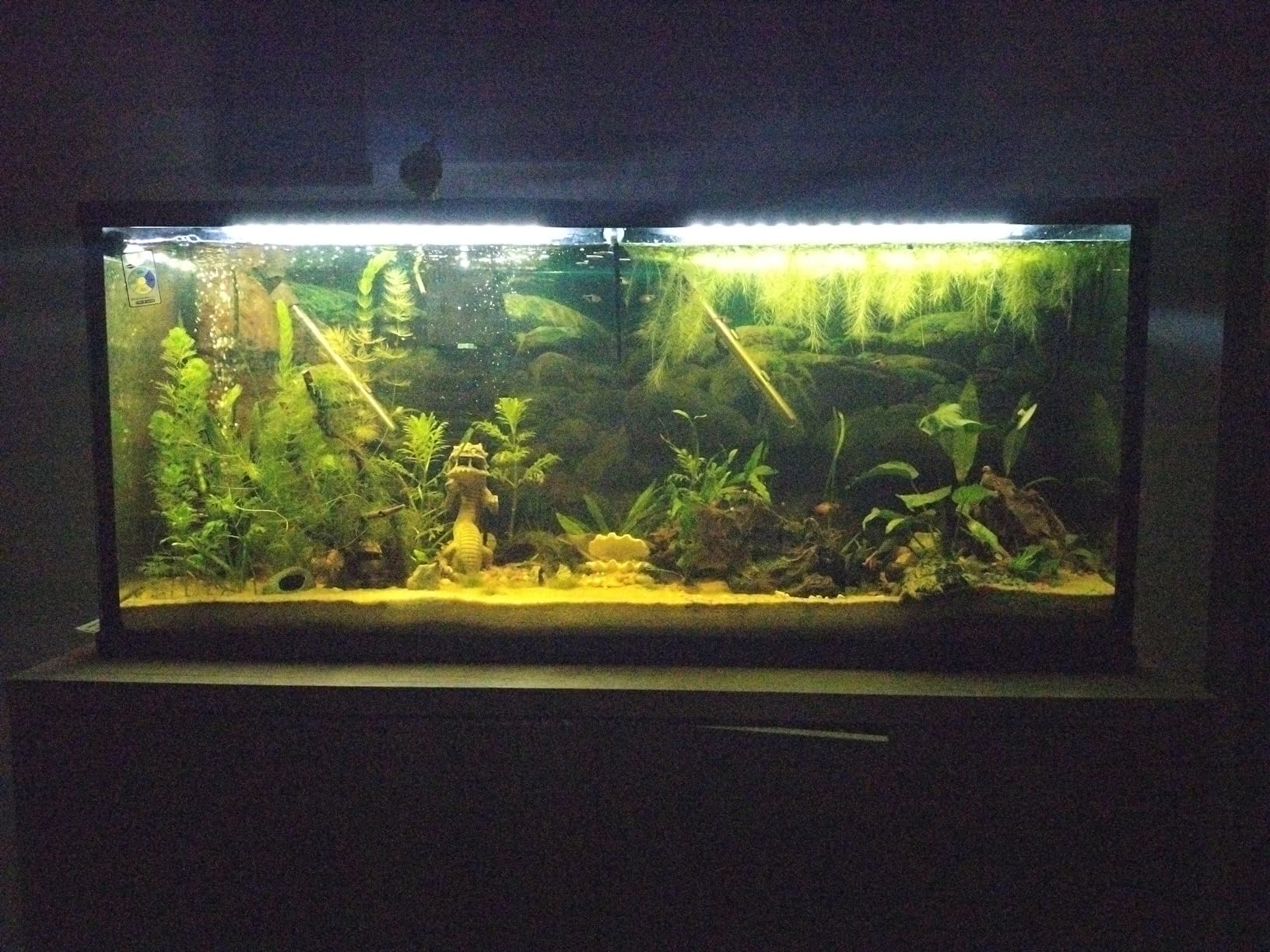 HitLights Mini RF Remote Controller for Single Color LED Strip Lights, DC 5-24V, 12-Key Wireless Dimmer with Dynamic Effect Mode, PWM Dimming Control, Ideal for Room, Home, Cabinet, DIY customer photo 1