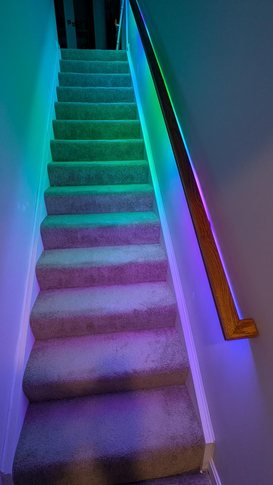 Kasa Smart LED Light Strip, 50 Color Zones RGBIC, 16.4ft Wi-Fi LED Strip Works w/ Alexa, Google Home & SmartThings, High Brightness, 16M Colors, PU Coating, Trimmable, 2 Yr Warranty (KL420L5) customer photo 1