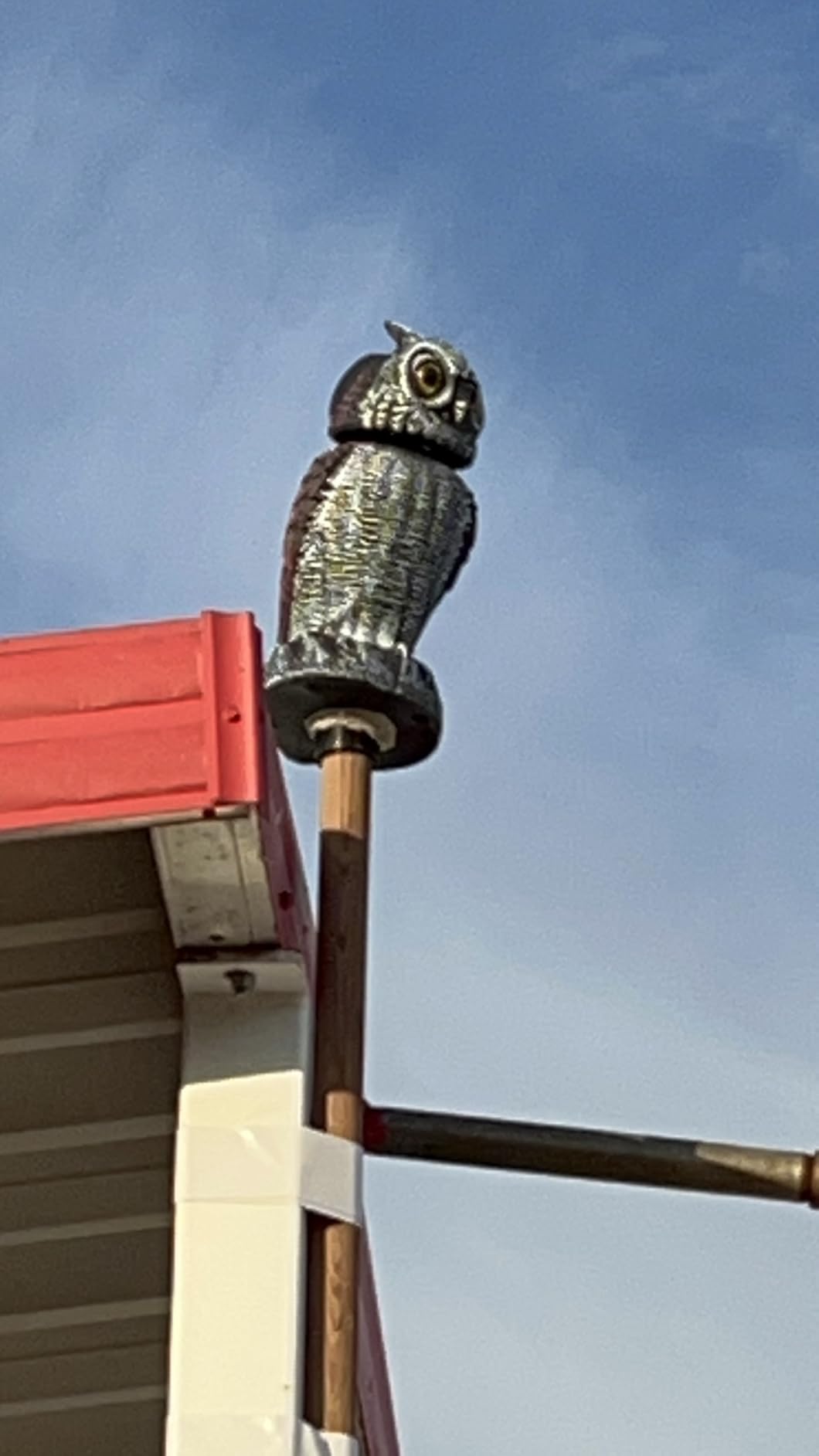 Hausse 2 Pack Fake Owl Decoys to Scare Birds Away, Rotating Head Plastic Owl Bird Deterrents, 10.6 Inch Height Bird Scarecrow Nature Enemy Horned Pest Repellent for Outdoor Garden Yard customer photo 1