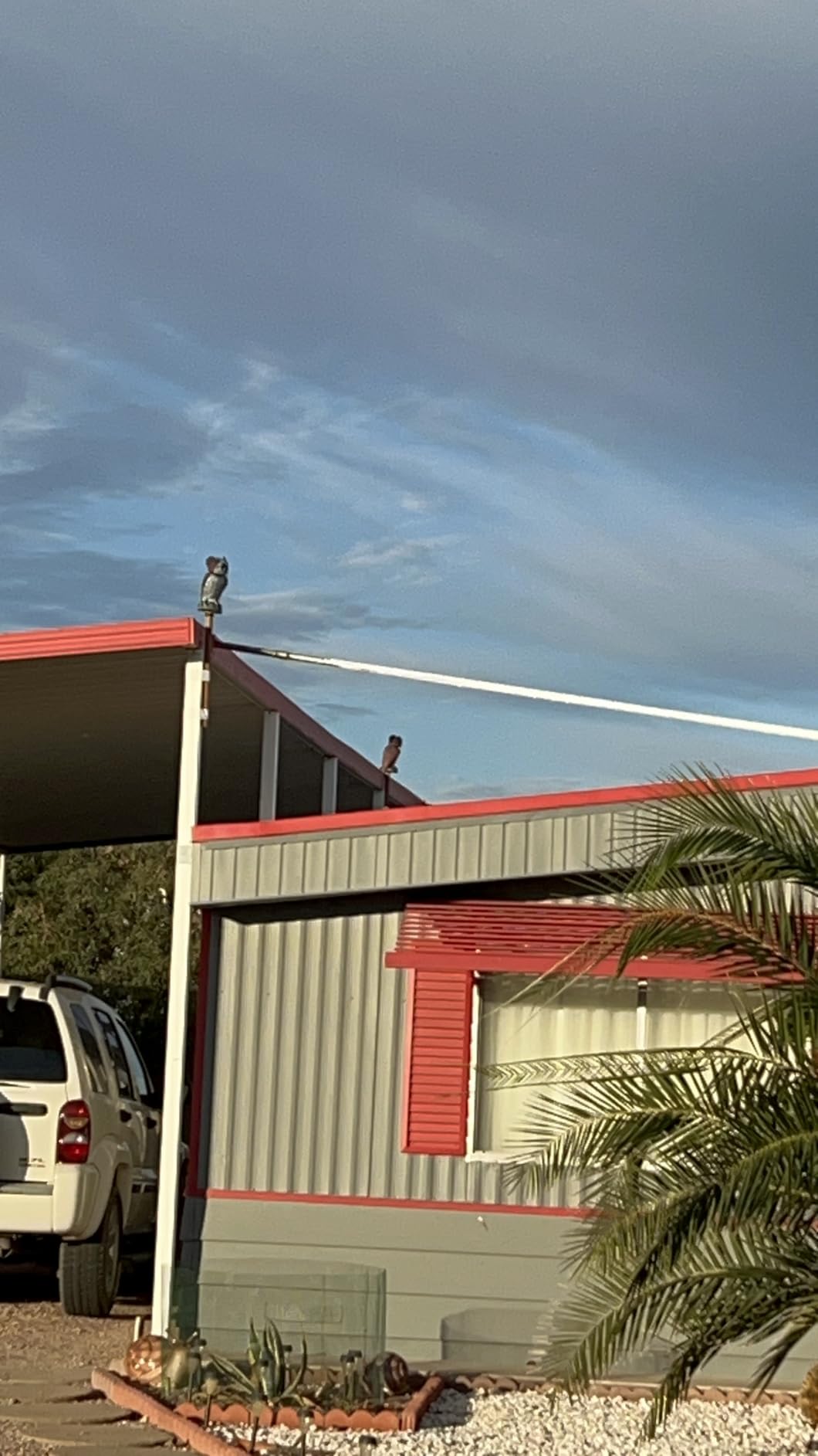 Hausse 2 Pack Fake Owl Decoys to Scare Birds Away, Rotating Head Plastic Owl Bird Deterrents, 10.6 Inch Height Bird Scarecrow Nature Enemy Horned Pest Repellent for Outdoor Garden Yard customer photo 2