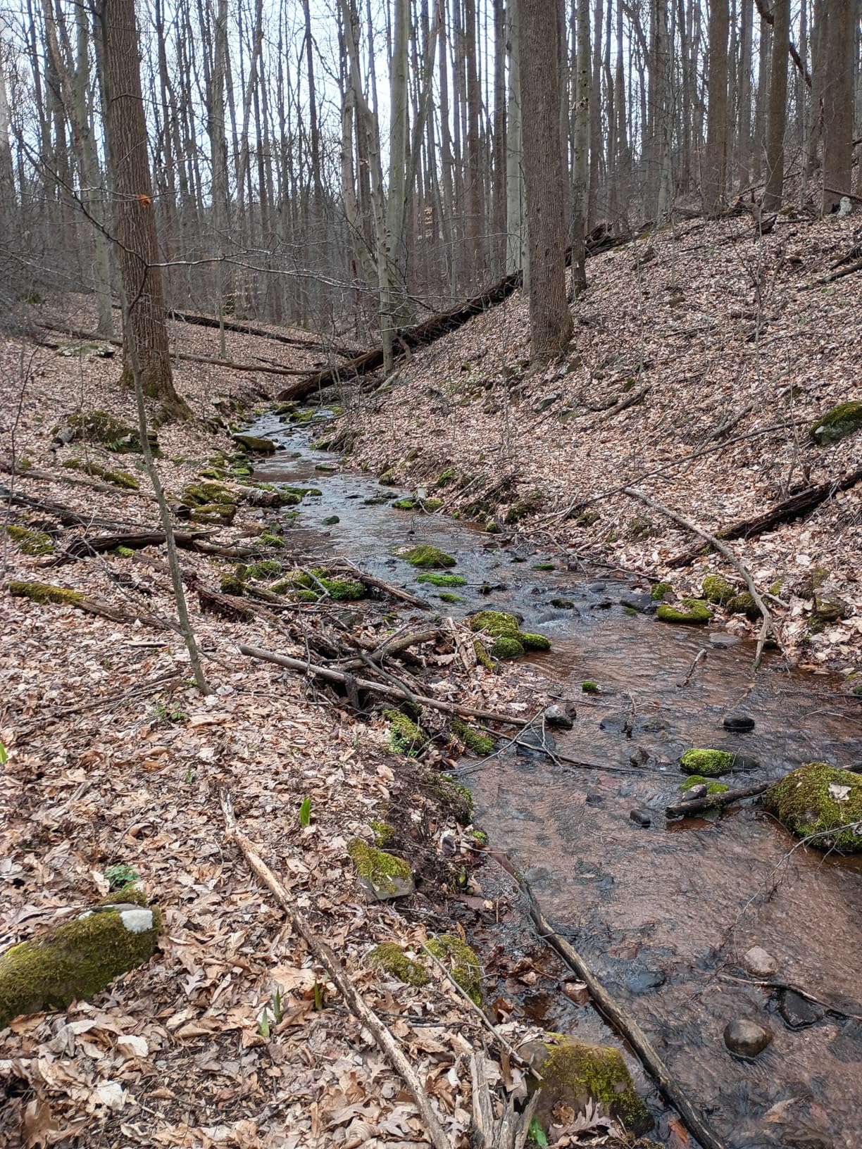 LifeStraw Peak Series Personal Water Filter for Hiking, Camping, Travel, and Emergency Preparedness, 1 Pack, Mountain Blue customer photo 1