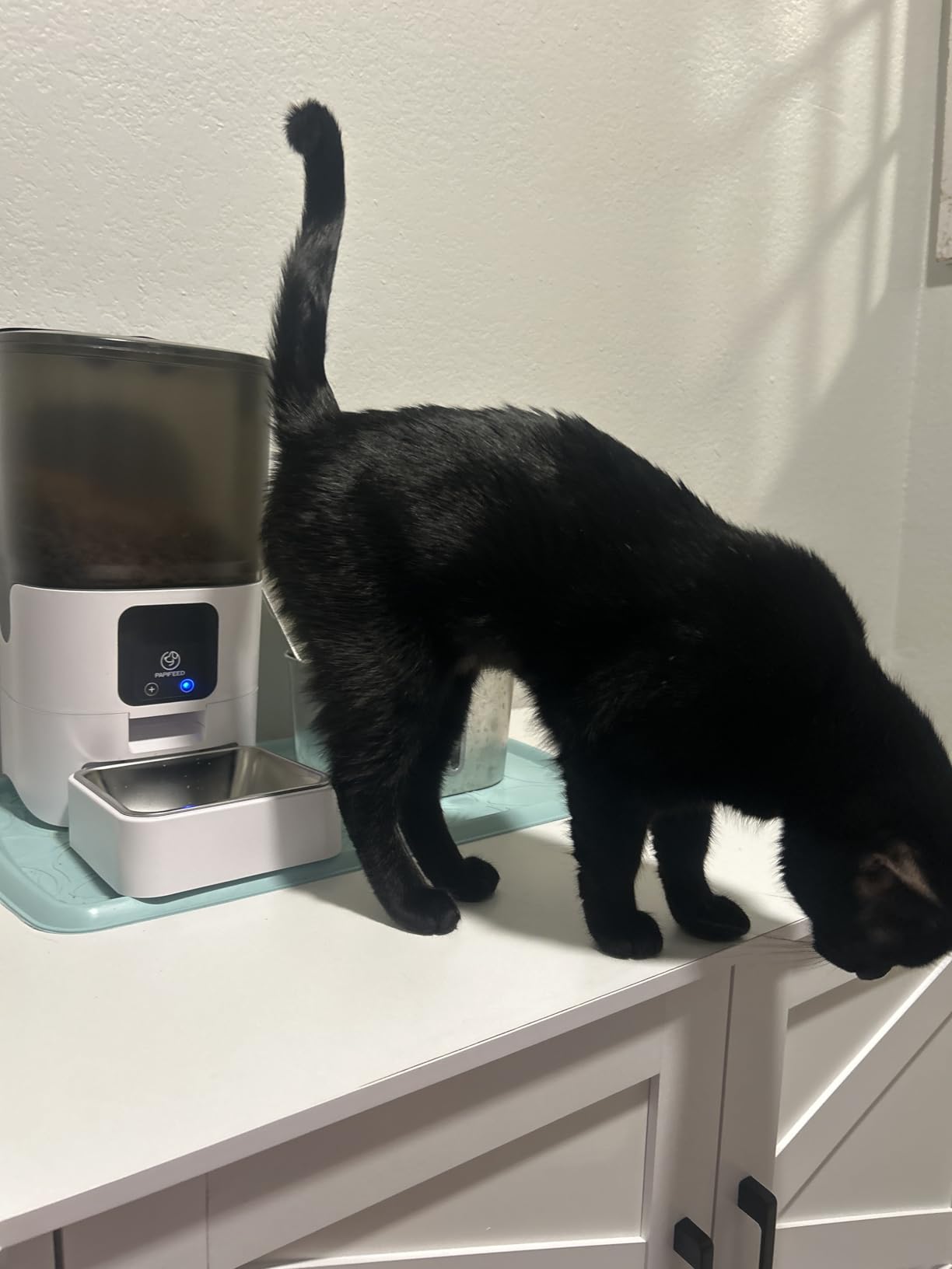 PAPIFEED Smart Automatic Cat Feeders Pet Feeder: WiFi Pet Feeder with APP Control for Remote Feeding, Detachable for Easy Clean, Stainless Steel Bowl, 1-10 Meals Per Day for Dog (6L/25Cup) customer photo 2