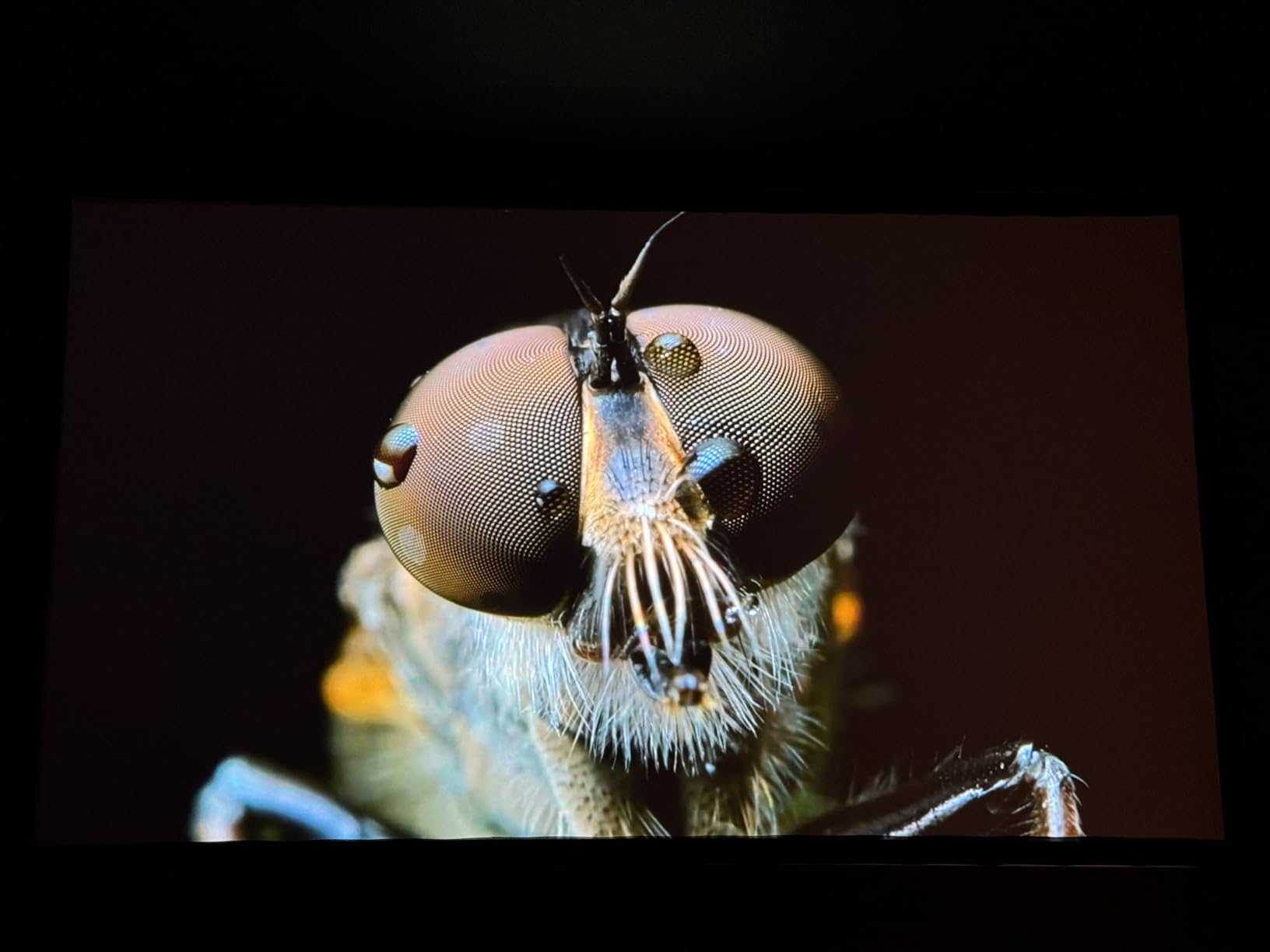 Epson Home Cinema LS11000 4K PRO-UHD Laser Projector HDR, HDR10+, 2500 Lumens Color & White Brightness, HDMI 2.1, Motorized Lens, Focus, Zoom, 3840 x 2160, 120 Hz, Media Room, Gaming customer photo 1