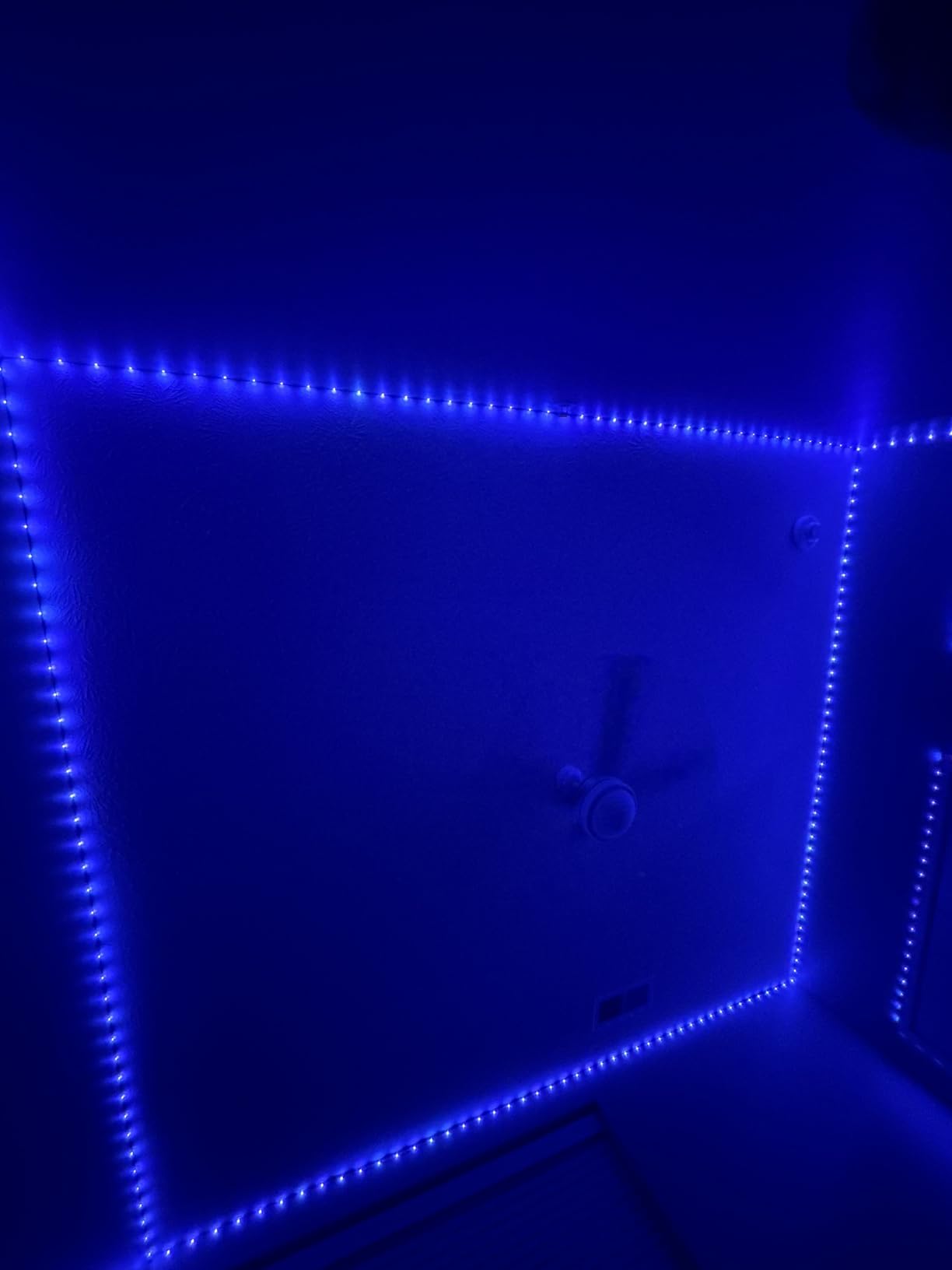 KSIPZE 100ft Led Strip Lights RGB Music Sync Color Changing Led Lights with Smart App Control Remote Led Lights for Bedroom Room Lighting Flexible Home Décor customer photo 2