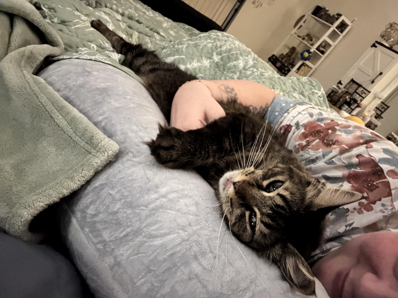 Momcozy Pregnancy Pillows with Cooling Cover, U-Shaped Full Body Maternity Pillow for Side Sleepers 57 Inch - Support for Back, Hip, Belly, Legs for Pregnant Women customer photo 1