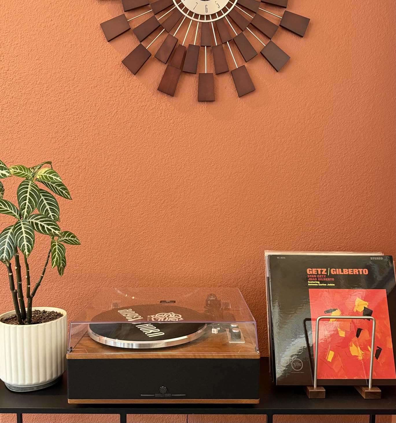 ANGELS HORN Vinyl Record Player, Bluetooth Turntable with Built in Speakers Phono Preamp, High Fidelity Turntables for Vinyl Records with Magnetic Cartridge AT-3600L, Belt Drive 2-Speed customer photo 1