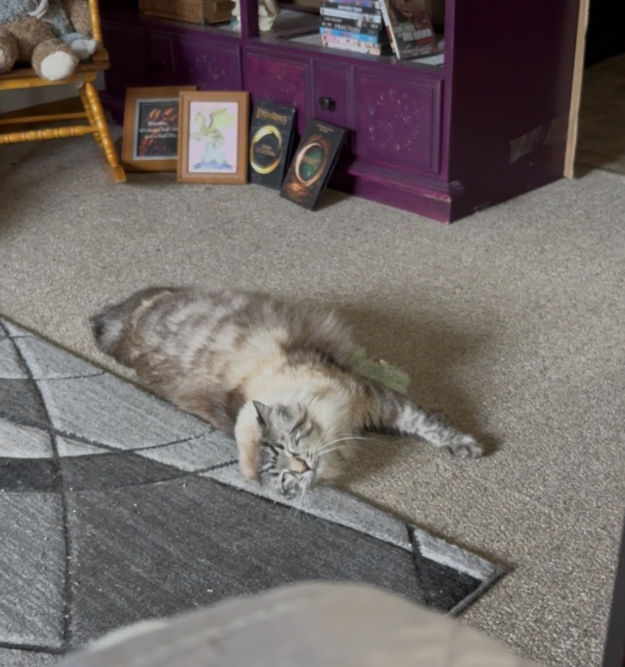 Potaroma Cat Toys Pillows, 3 Pack, Soft and Durable Crinkle Sound with Catnip Inside, Interactive Indoor Kitten Kicker, Promotes Kitty Exercise customer photo 1