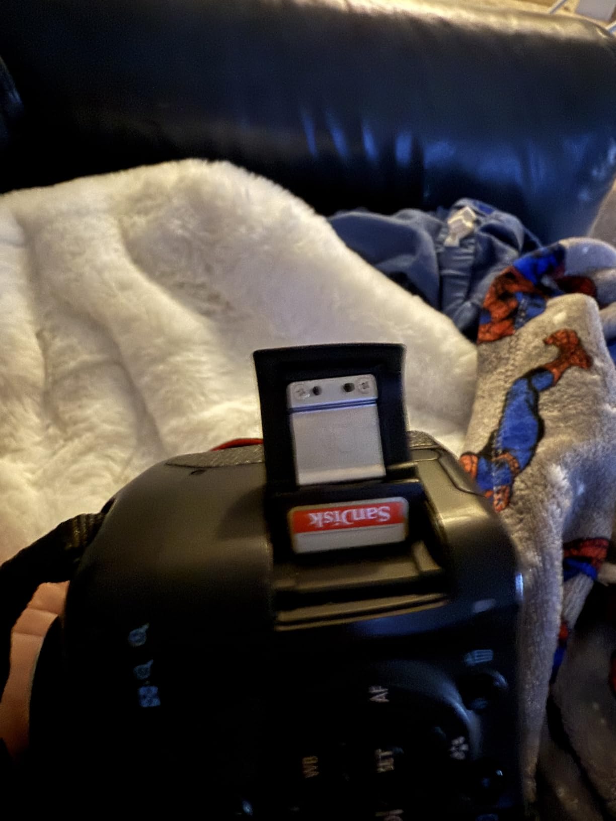 SanDisk 256GB Extreme SDXC UHS-I Memory Card - C10, U3, V30, 4K, UHD, SD Card - SDSDXVV-256G-GNCIN customer photo 1