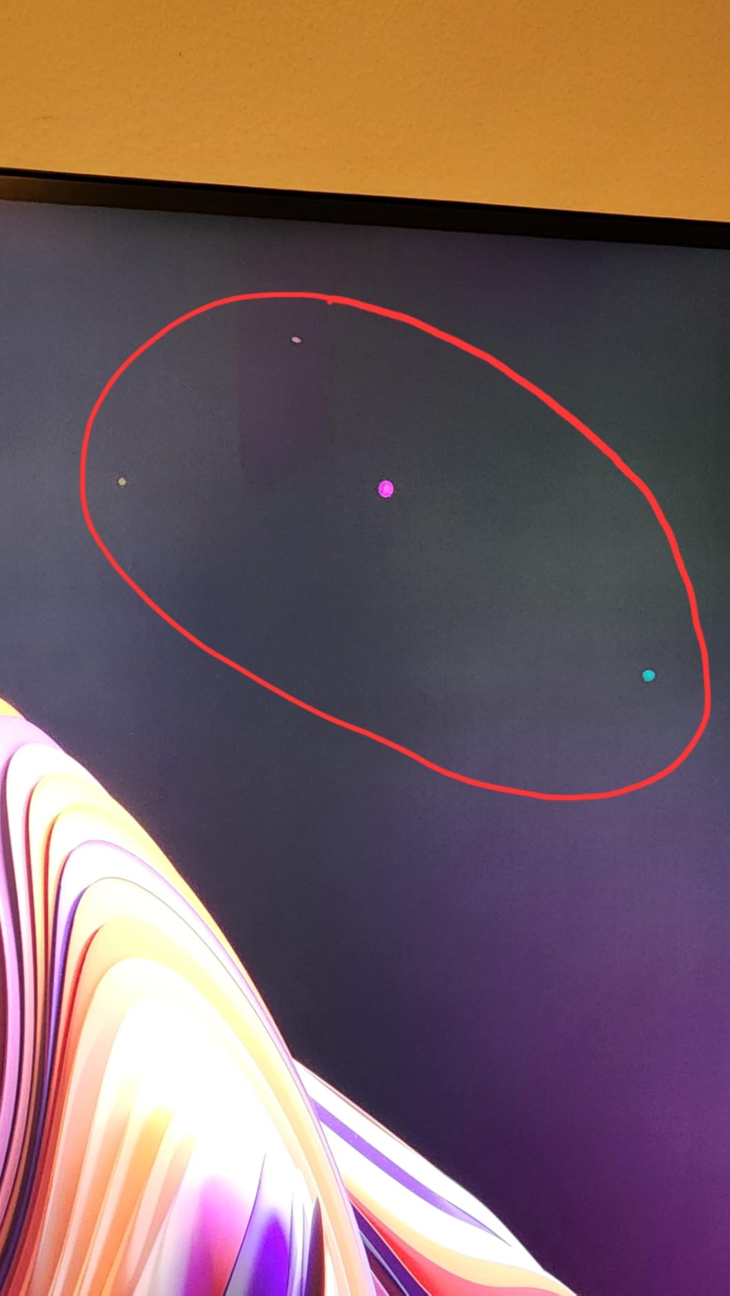 ASUS ProArt Display 31.5