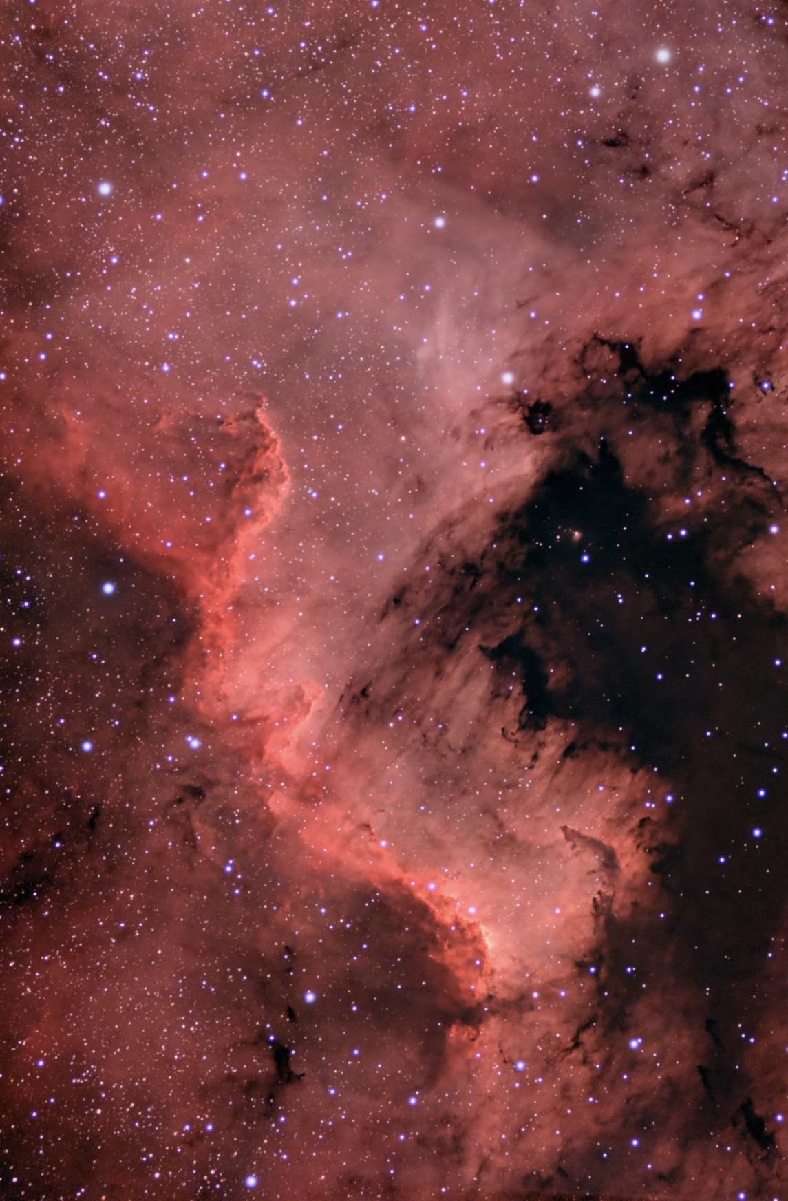 SVBONY SV405CC Cooled Telescope Camera, 11.7 MP USB3.0, BI IMX294 CMOS Color Sensor, Astrophotography Camera with AR Coating customer photo 1