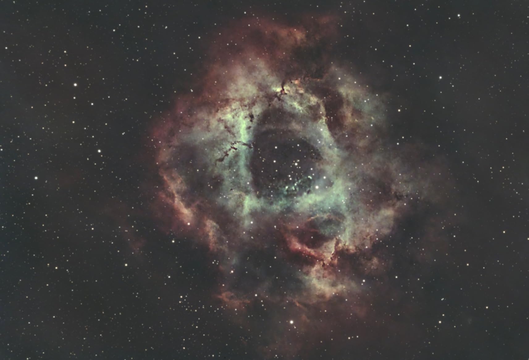 SVBONY SV405CC Cooled Telescope Camera, 11.7 MP USB3.0, BI IMX294 CMOS Color Sensor, Astrophotography Camera with AR Coating customer photo 2