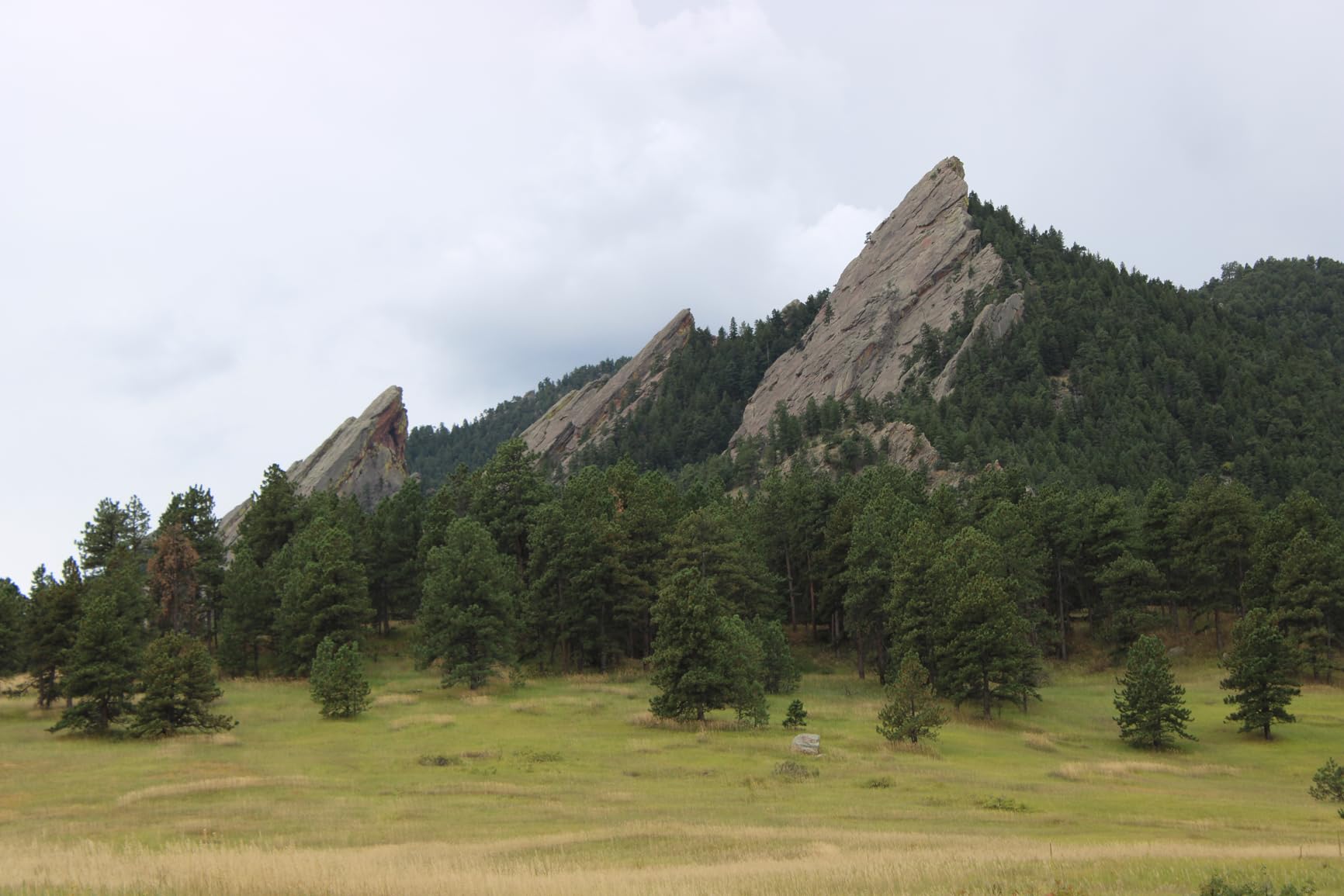 Canon EOS R7 Mirrorless Camera (Body Only), Hybrid Camera, 32.5 Megapixel (APS-C) CMOS Sensor, 4K Video, for Sports, Action, Content Creators, Vlogging Camera, Black customer photo 1