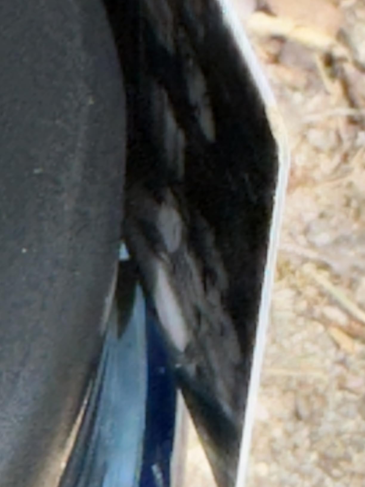 Canister for Backpacking. 4 Sizes: BV500, BV475, BV450, BV425. Bear-Resistant Food Container for Camping, Hiking, Fishing, Hunting, Bikepacking. BearVault is Bear Safe! customer photo 2