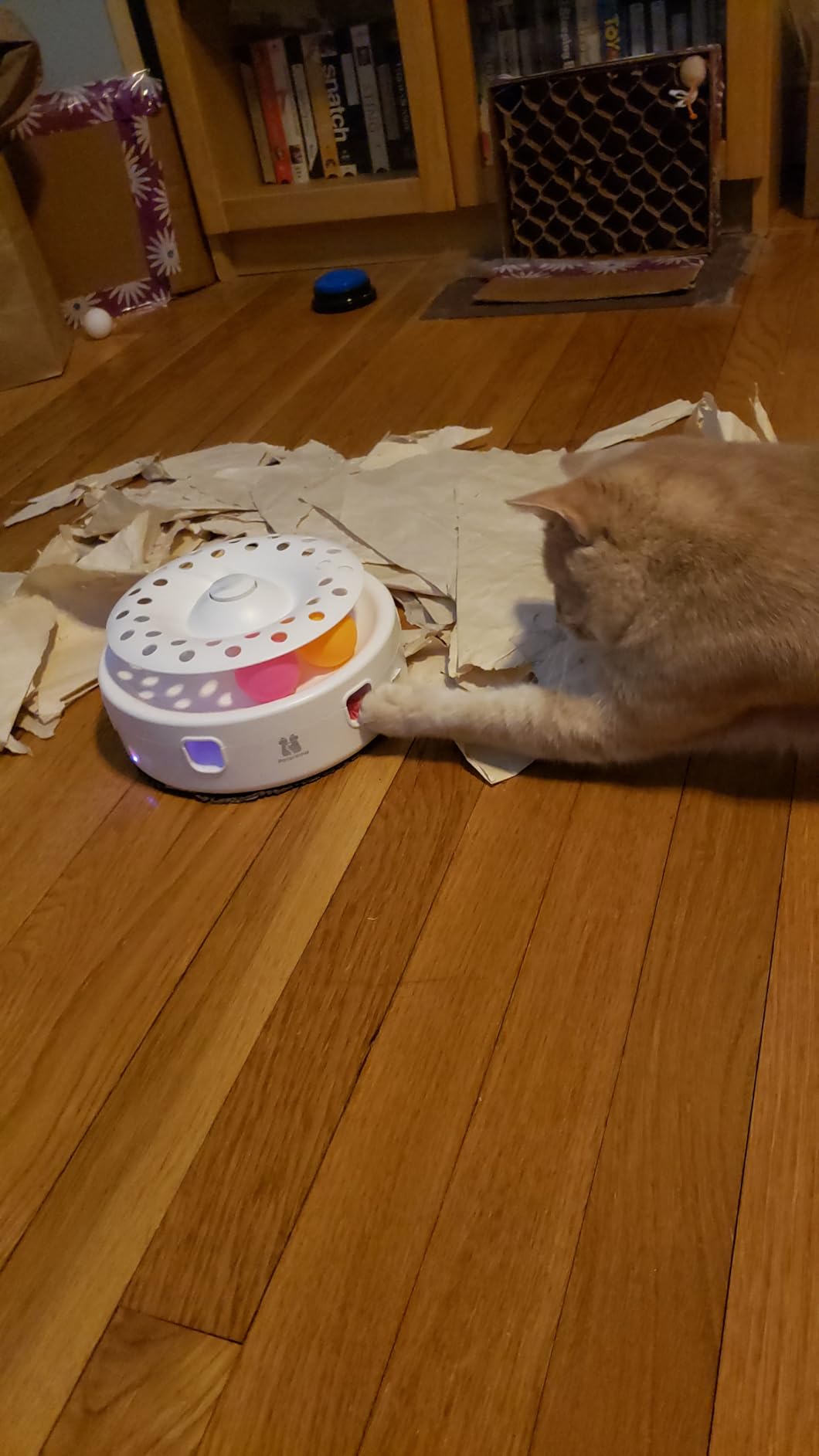 Potaroma Cat Toys 3in1 Automatic Interactive Kitten Toy, Fluttering Butterfly, Moving Feather, Track Balls, Dual Power Supplies, USB Powered, Indoor Exercise Kicker (Bright White) customer photo 2