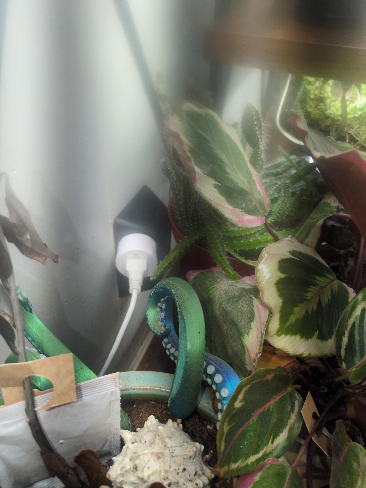 EIGHTREE Smart Plug, WiFi Outlet Works with Alexa & Google Home, Smart Home Socket with Remote Control & Timer Function, 2.4GHz WiFi Only, 4 Packs customer photo 1