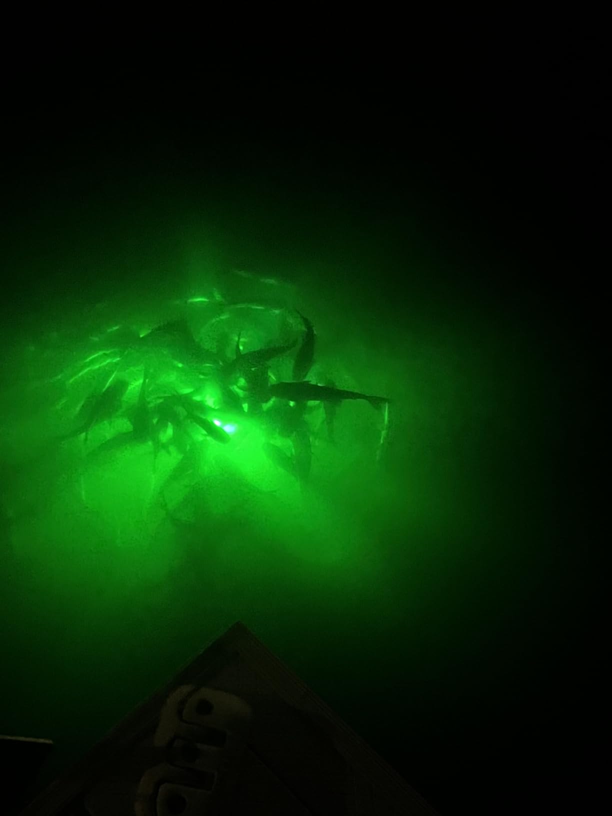 Underwater Fishing Light, 110V & 12V Super Bright Green LED Submersible Light Attractants for Docks, Boats or Kayaks, IP68 Rated (30ft Cable) customer photo 1