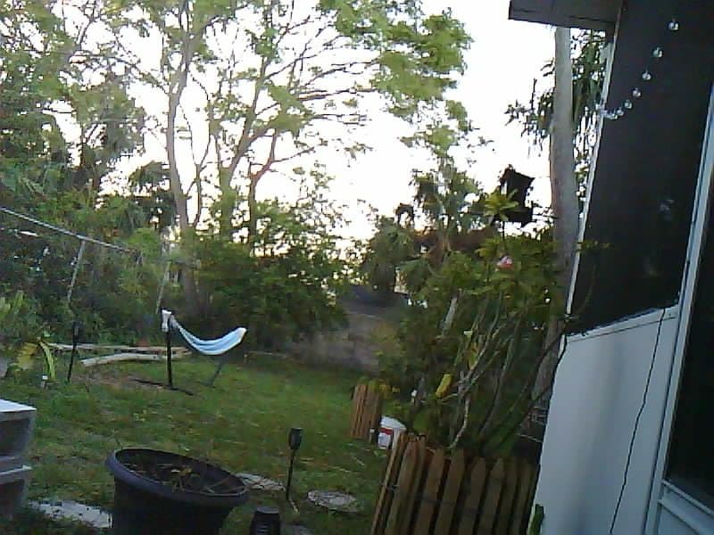 XIAO ESP32C3 - Tiny MCU Board with Wi-Fi and BLE for IoT Controlling Scenarios. Microcontroller with Battery Charge, Power Efficient, and Rich Interface for Tiny Machine Learning customer photo 2