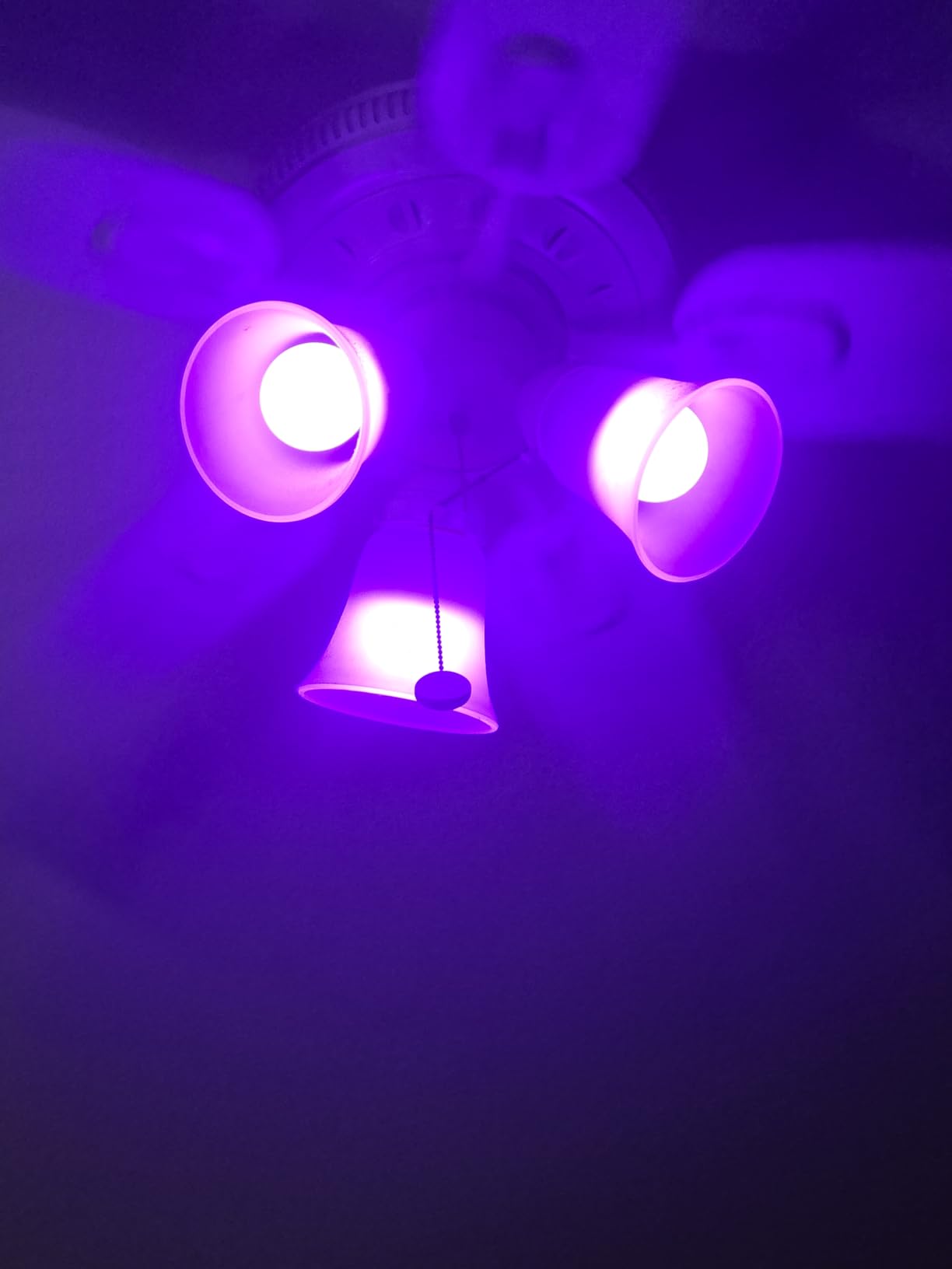 Linkind Smart Light Bulbs, Smart Bulb That Work with Alexa & Google Home, LED Light Bulbs Color Changing, 104 Preset Scene, Music Sync, A19 E26 2.4GHz RGBTW WiFi Bluetooth Light Bulb 60W, 800LM, 4Pack customer photo 1