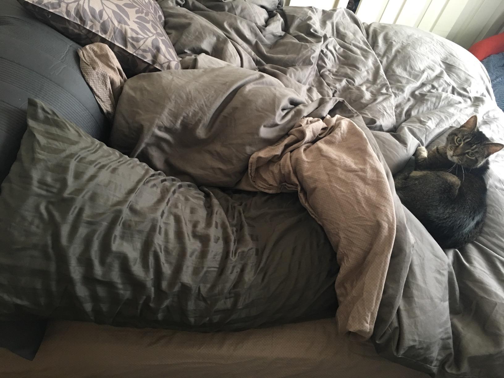 Coop Home Goods Original Adjustable Maternity Pillow, with Memory Foam and Washable Cover, Body Pillow for Pregnancy, Side Sleeper and Full Body Support During Pregnancy customer photo 2