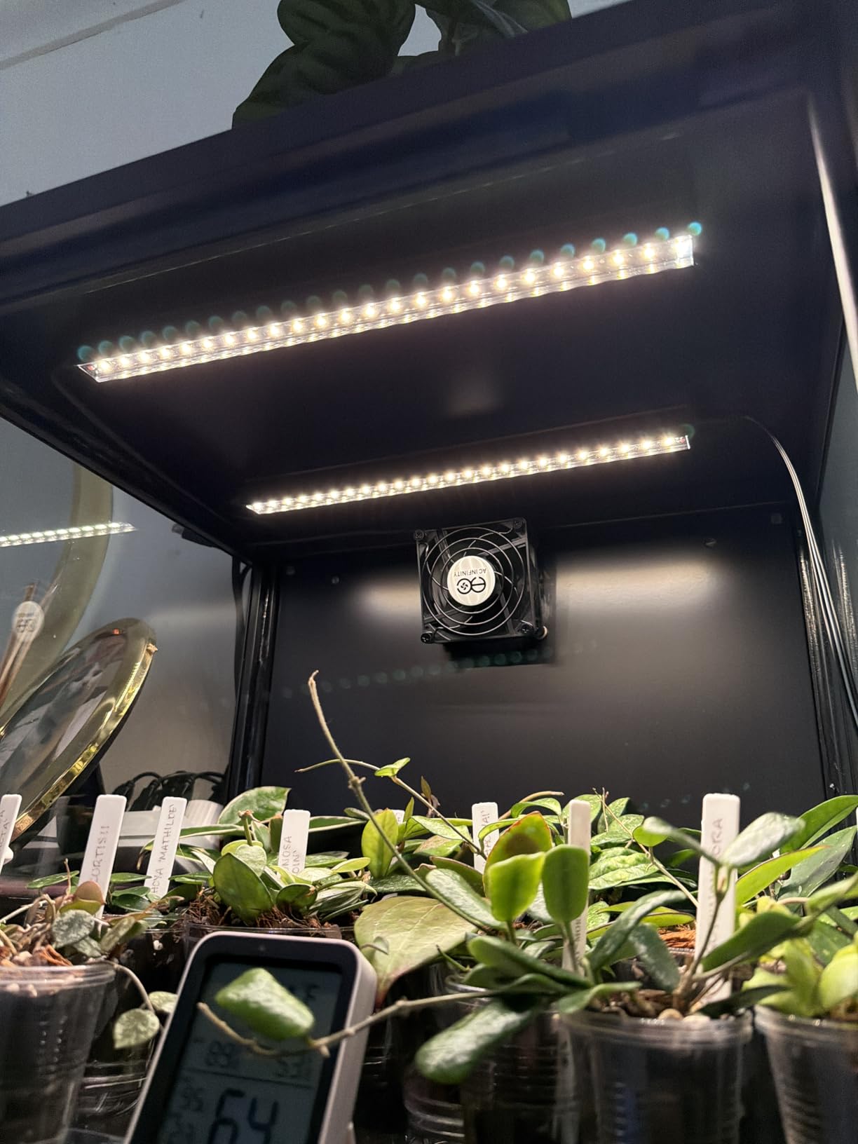 Barrina T5 Grow Lights for Indoor Plants, 5000K Full Spectrum, 1FT LED Growing Lamp, Plant Light Strip, for Seed Starting, Vegetables, Plug and Play, 4-Pack customer photo 1